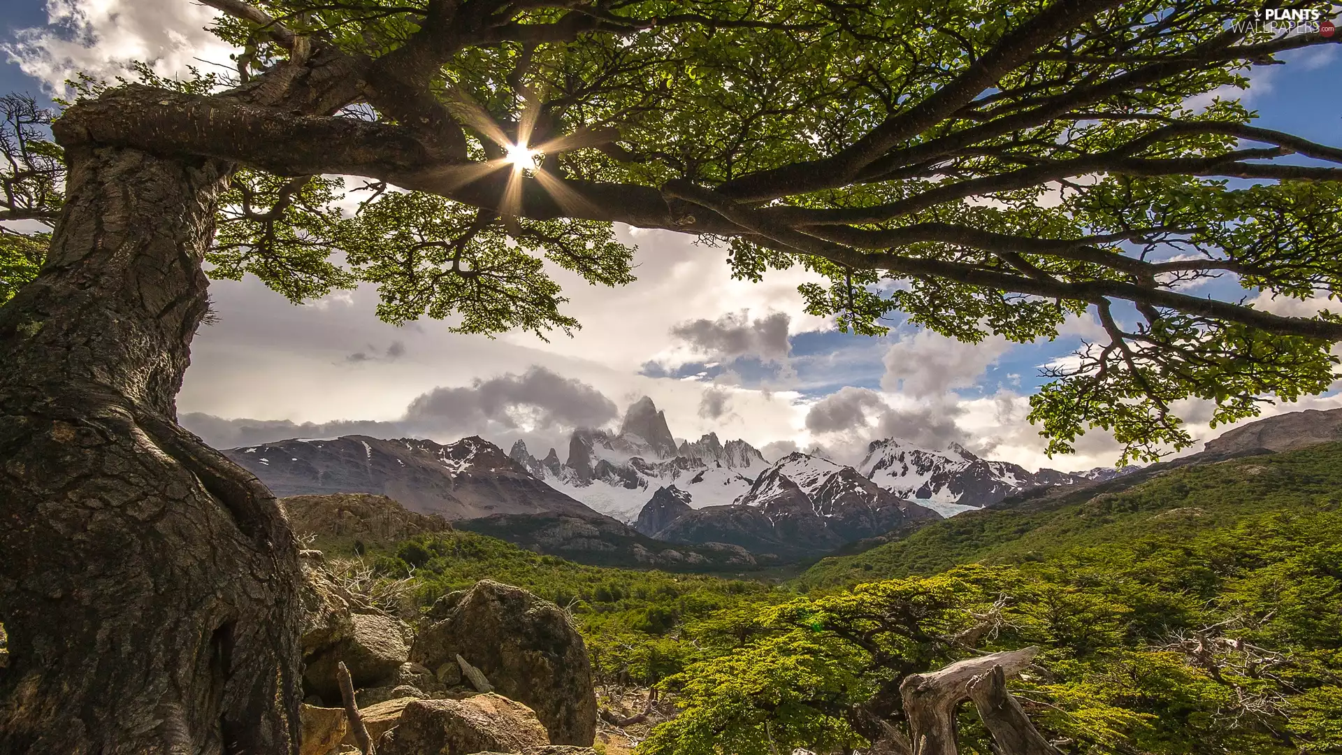 Mountains, Patagonia, Andy, rays of the Sun, Fitz Roy Mountain, Argentina, Los Glaciares National Park, clouds, trees, El Chalten