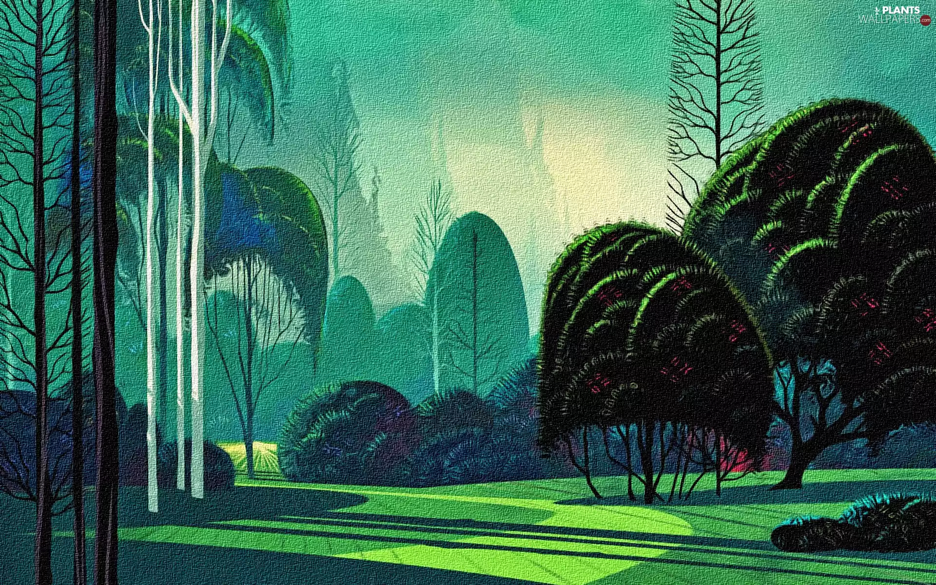 graphics, viewes, forest, trees