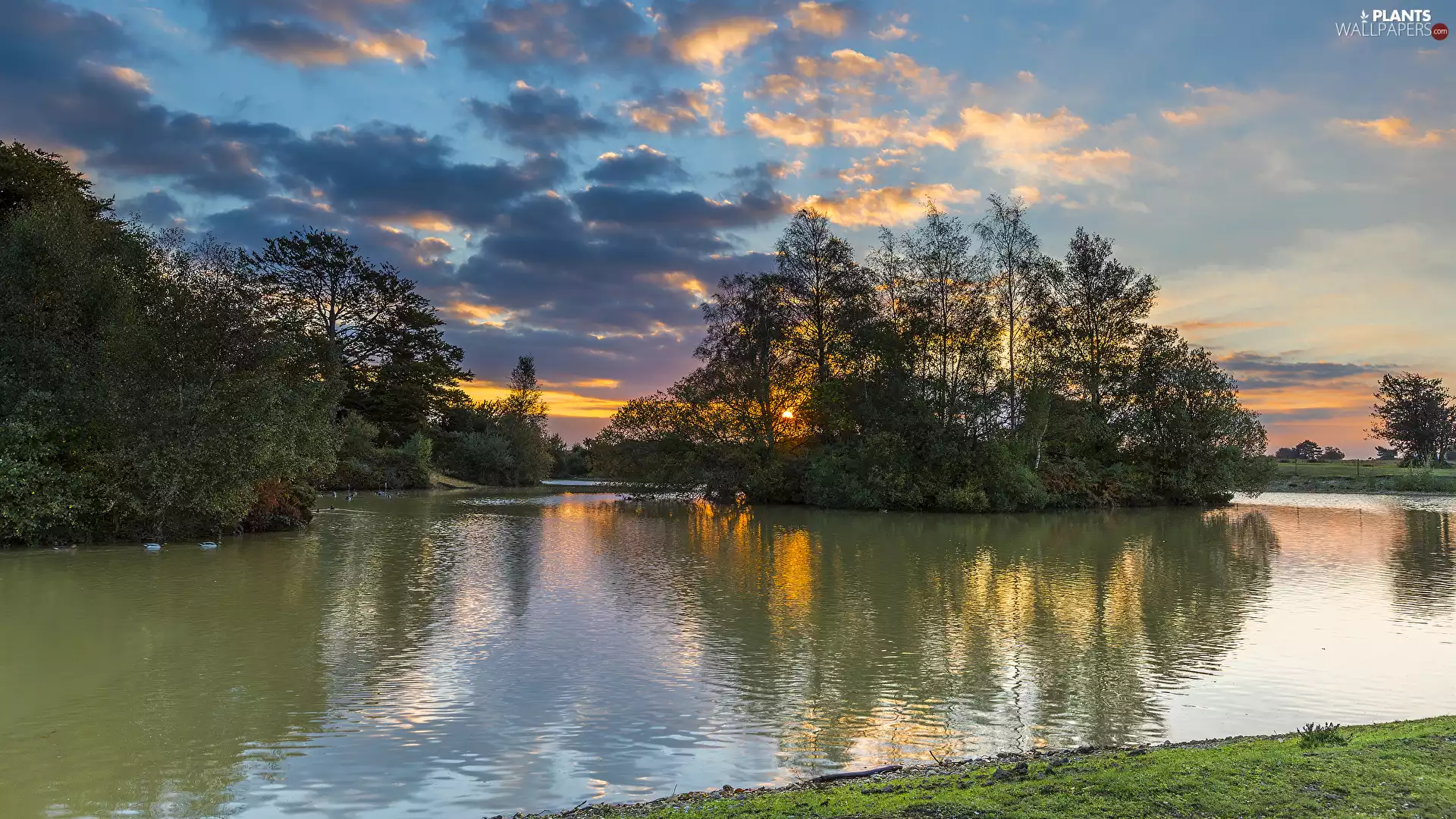 Sunrise, clouds, grass, Sky, viewes, Islet, lake, trees