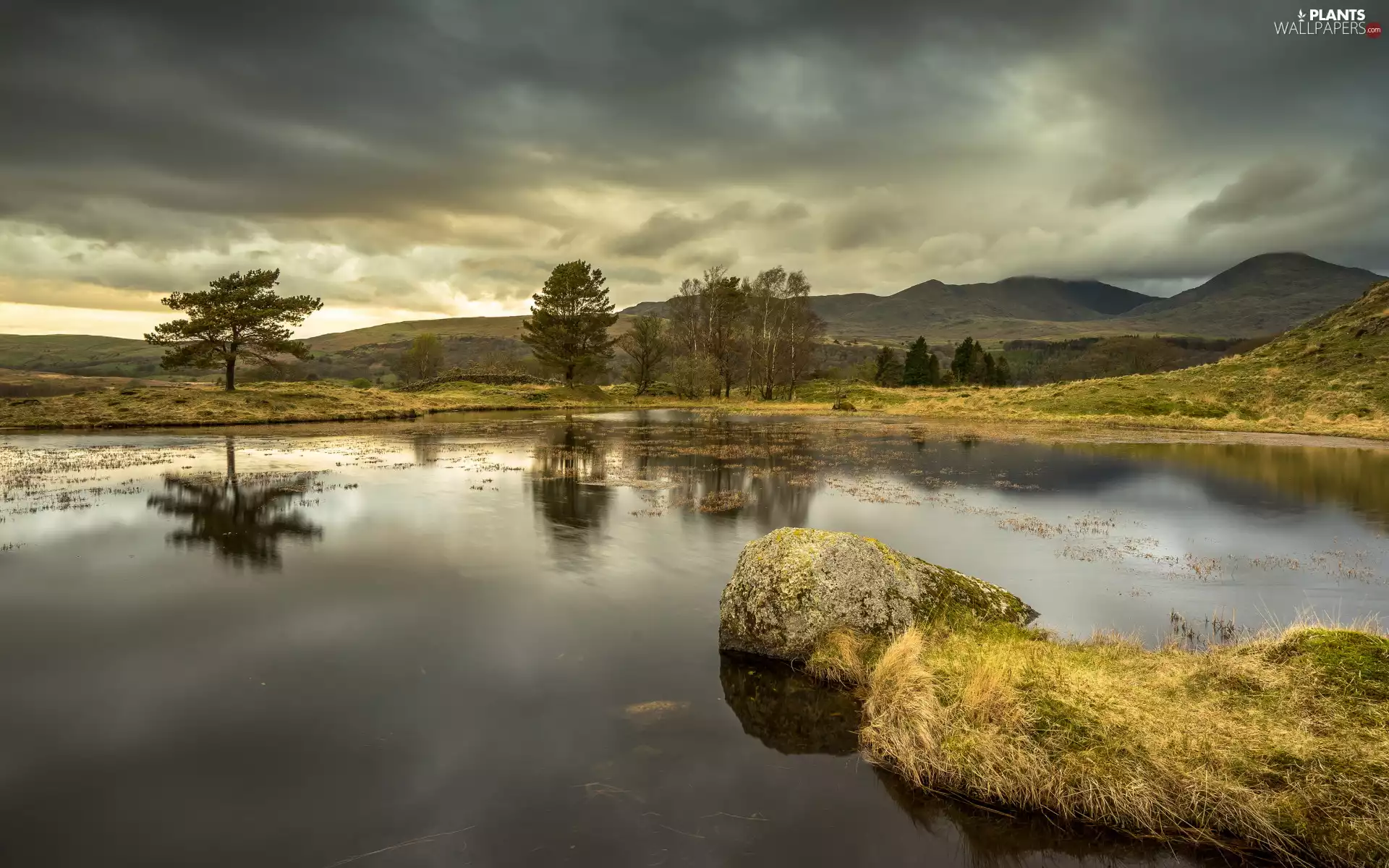viewes, lake, grass, trees, Mountains, Stones, clouds