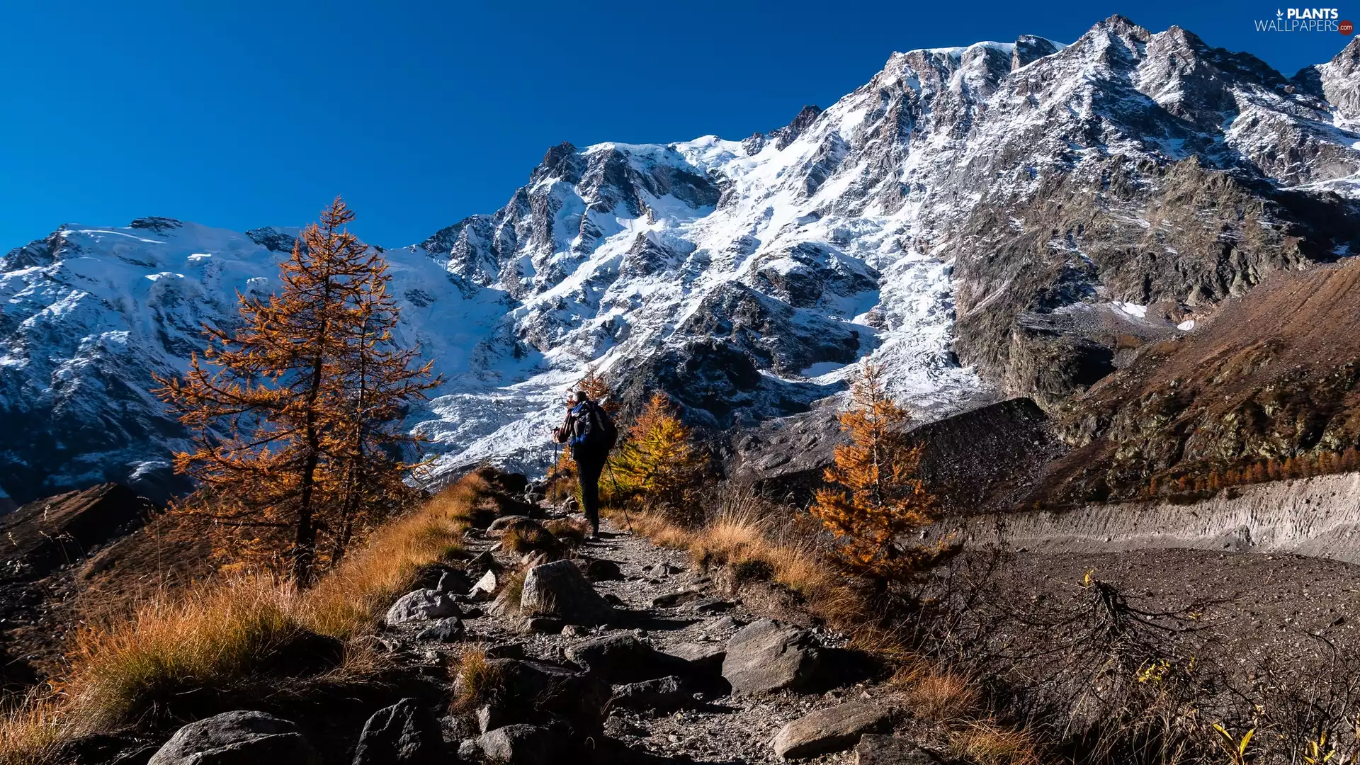viewes, rocks, grass, trees, Mountains, dry, tourist