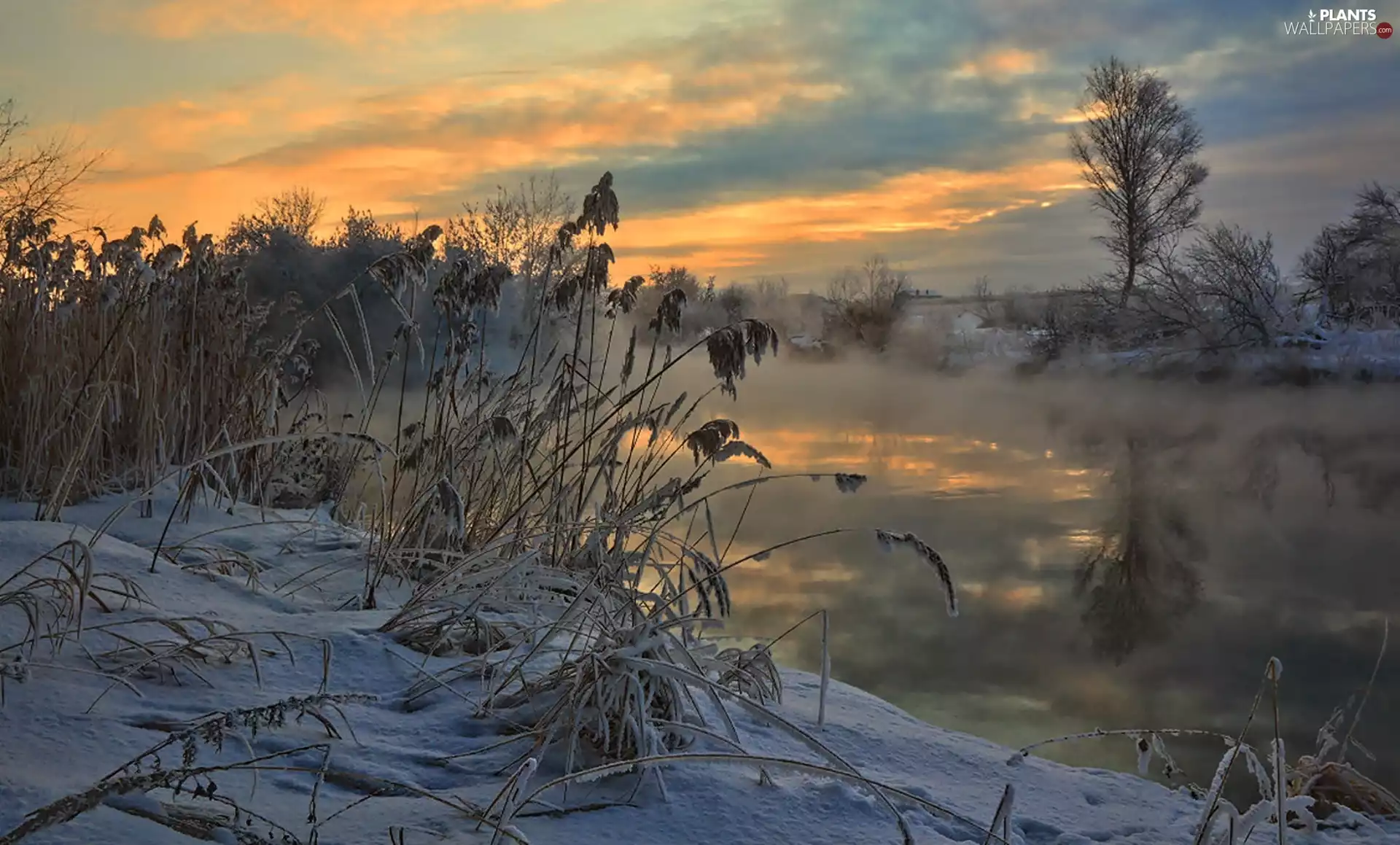 trees, winter, viewes, River, west, sun, grass, snow, dry