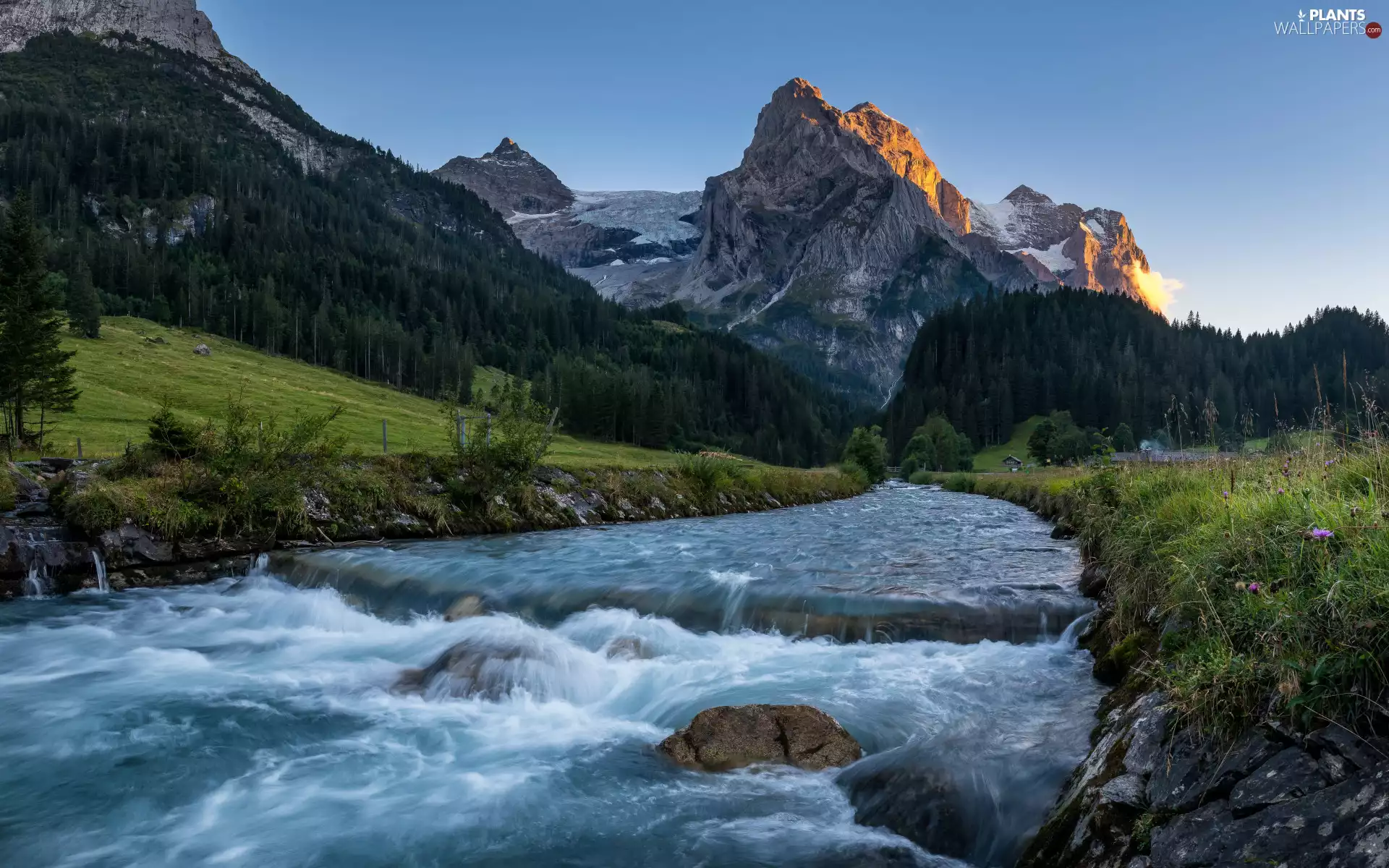 Stones, Valley, grass, woods, viewes, River, Mountains, trees