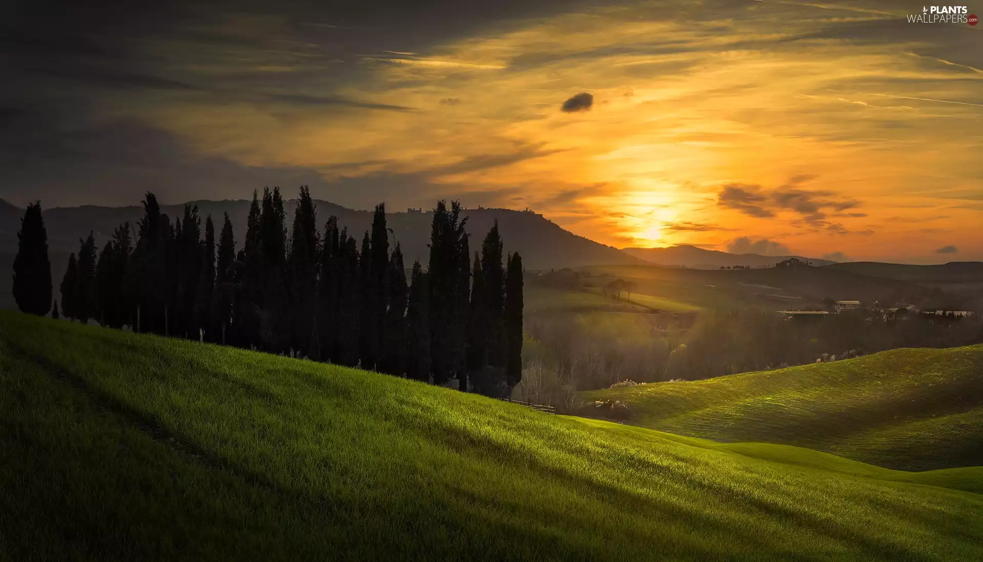 trees, viewes, The Hills, cypresses, clouds, Tuscany, Italy, Great Sunsets