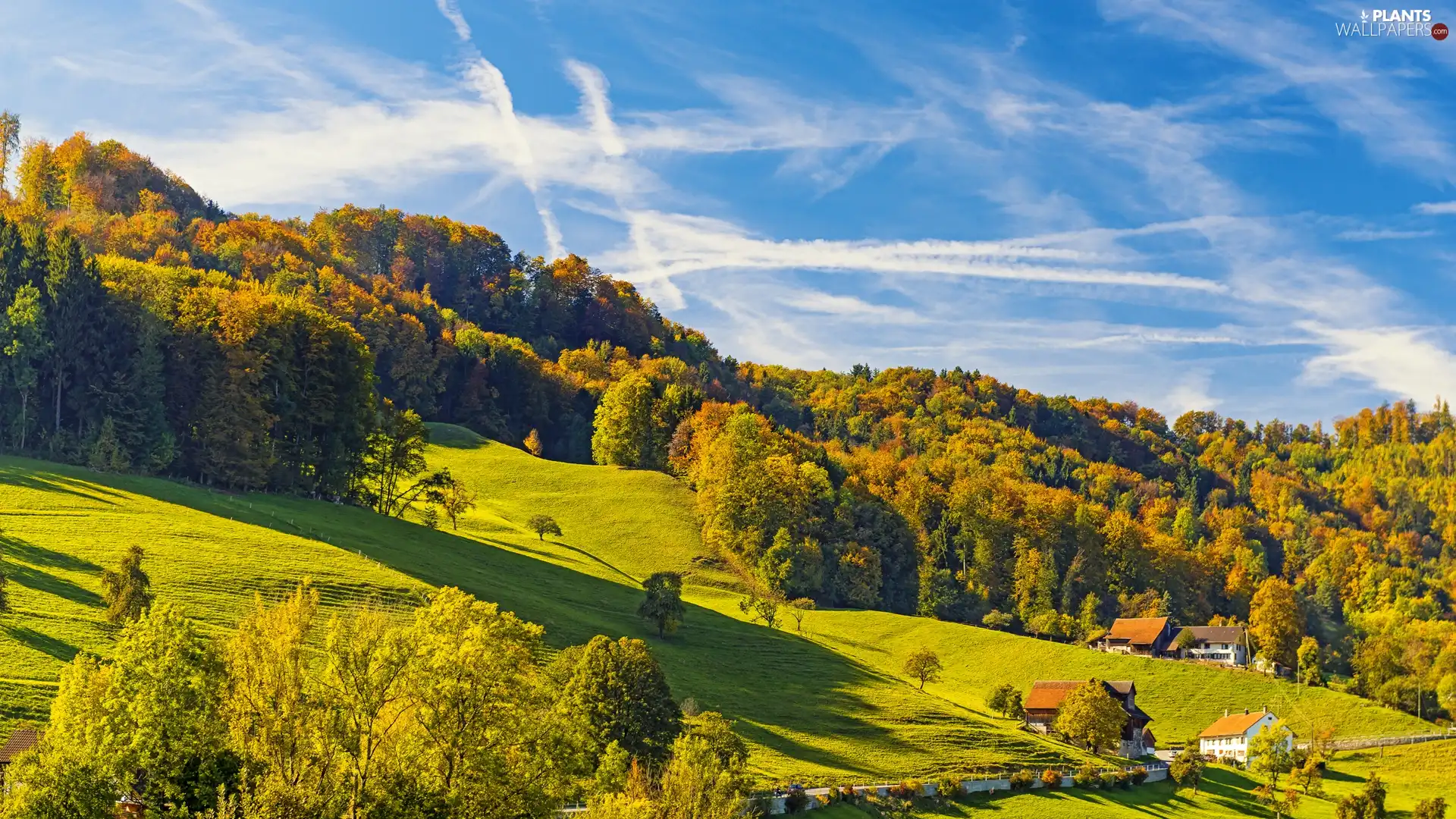 viewes, Houses, autumn, trees, The Hills