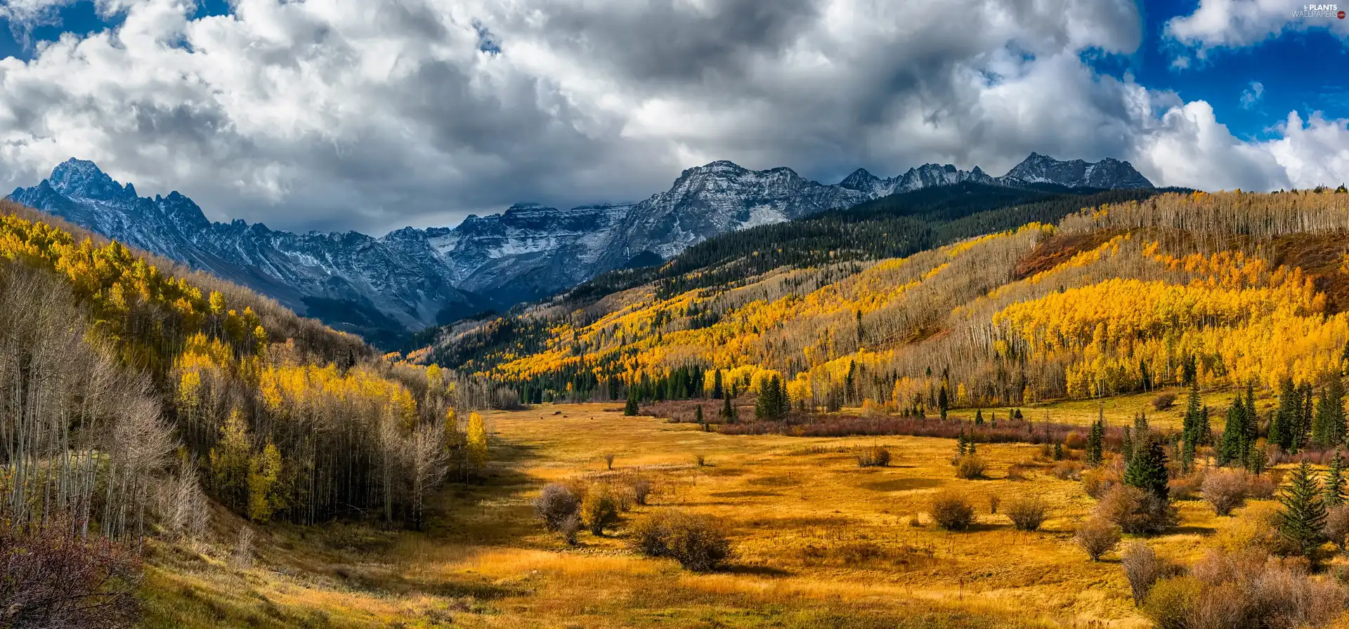 forest, Mountains, viewes, The Hills, autumn, trees, clouds