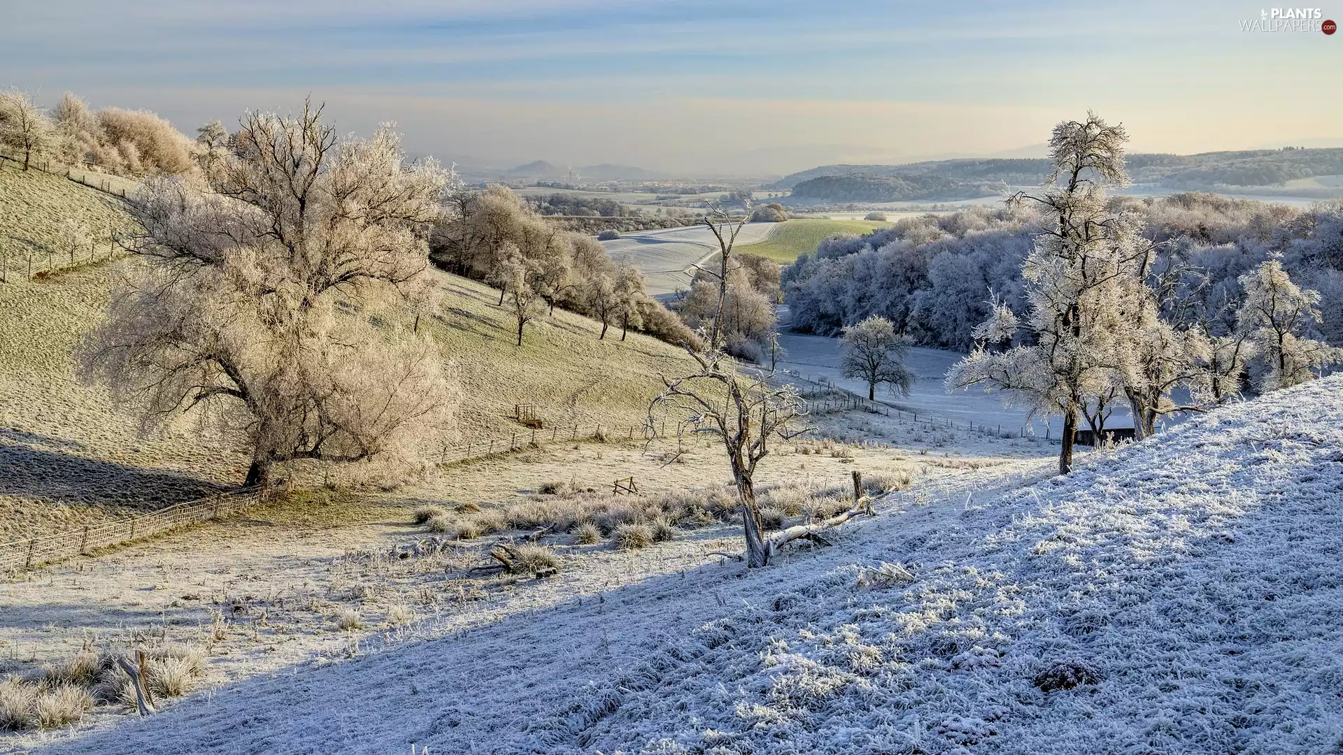 viewes, winter, frosty, trees, The Hills