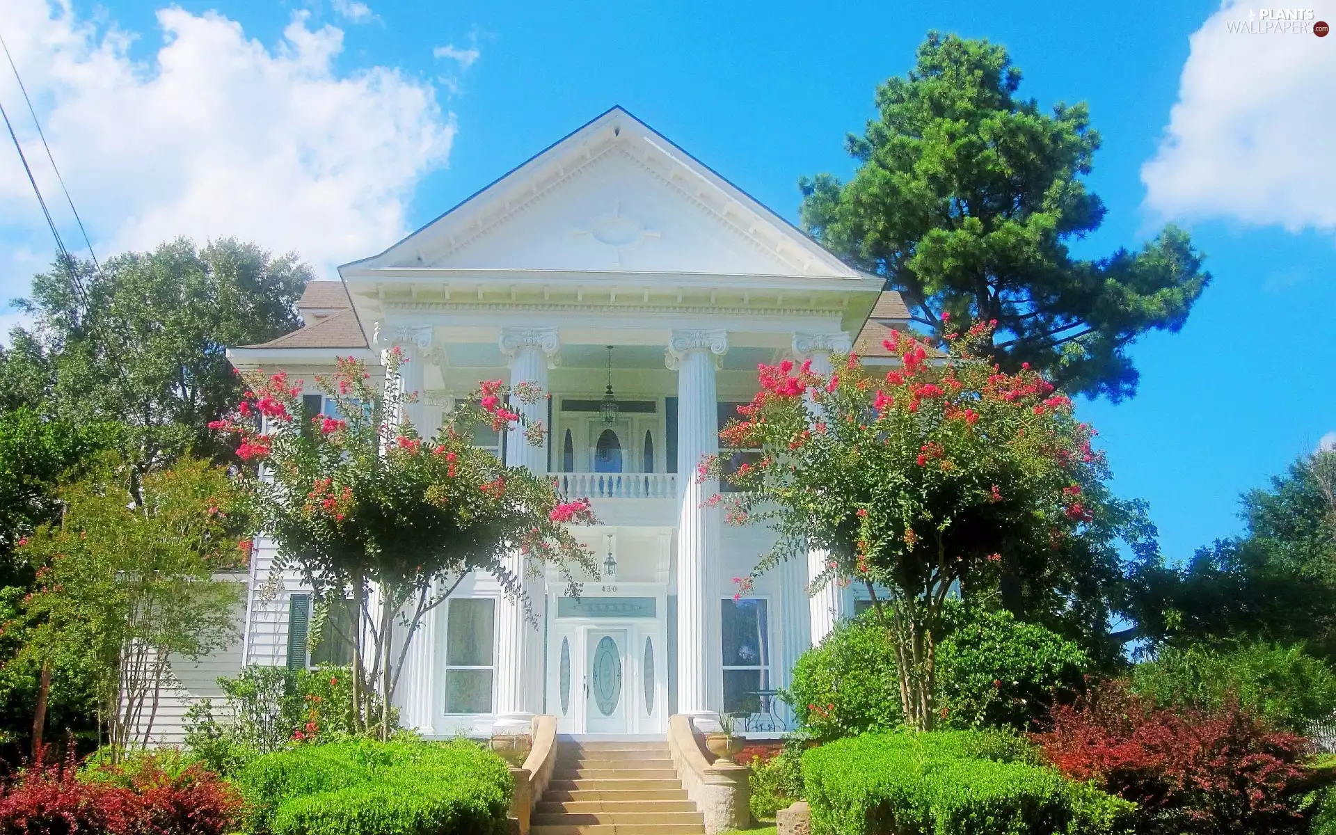 house, viewes, Bush, trees