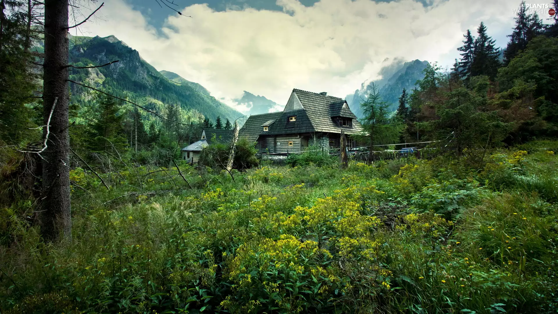 viewes, clouds, house, trees, Mountains, forest, Meadow