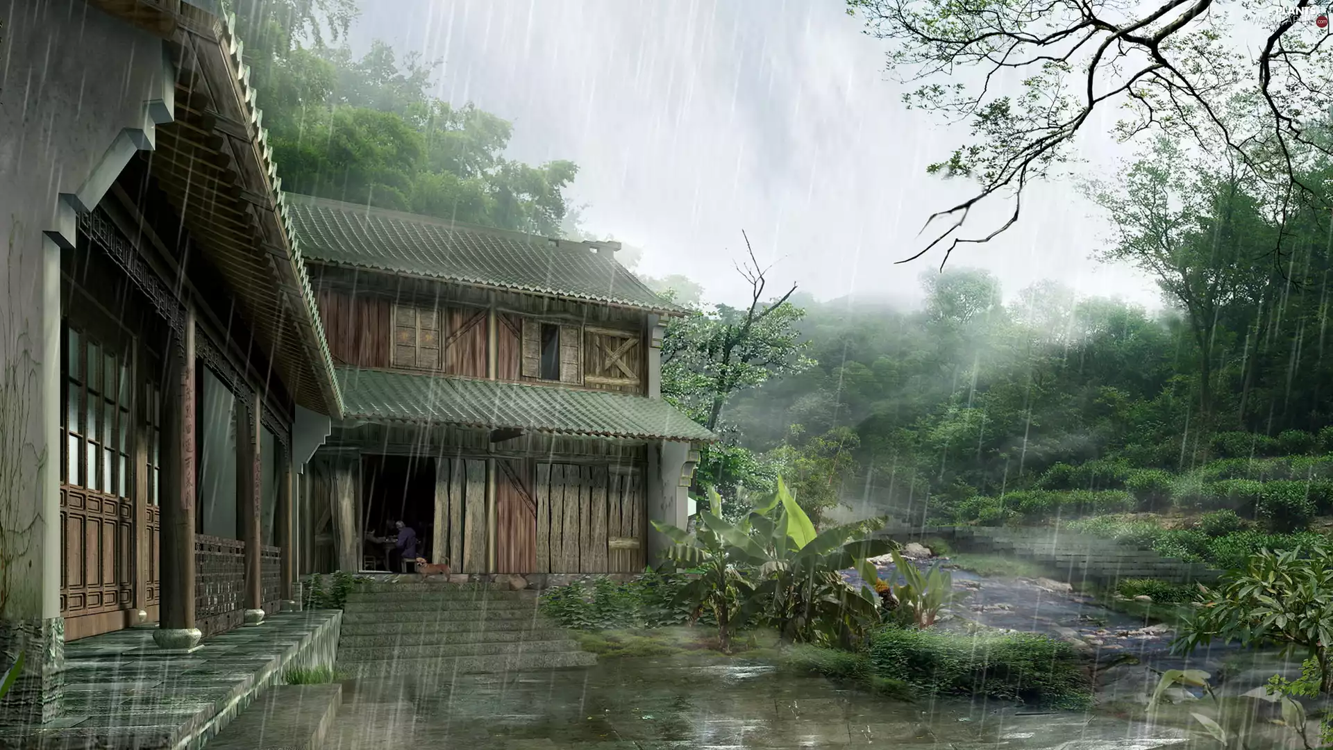 house, viewes, Rain, trees