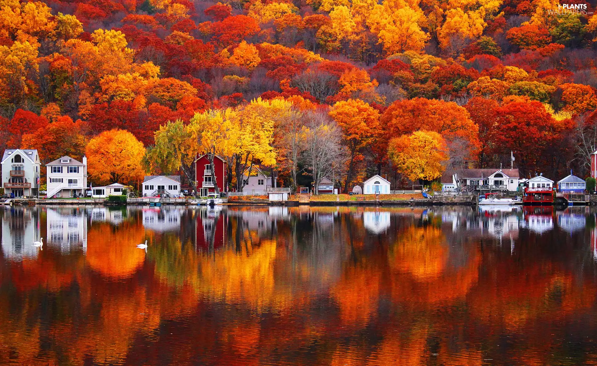 viewes, forest, Houses, trees, autumn, lake, reflection