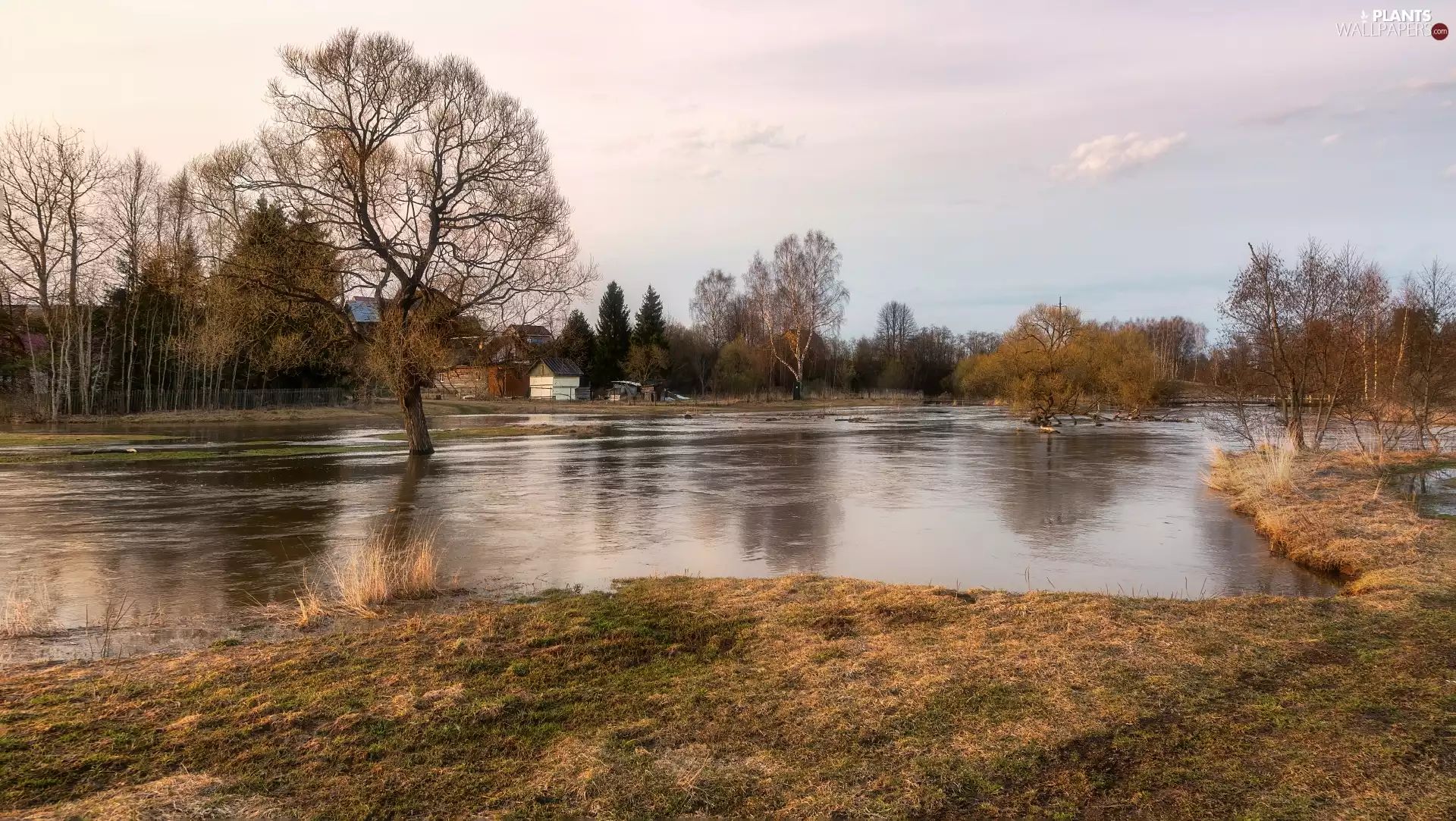 Houses, viewes, River, trees