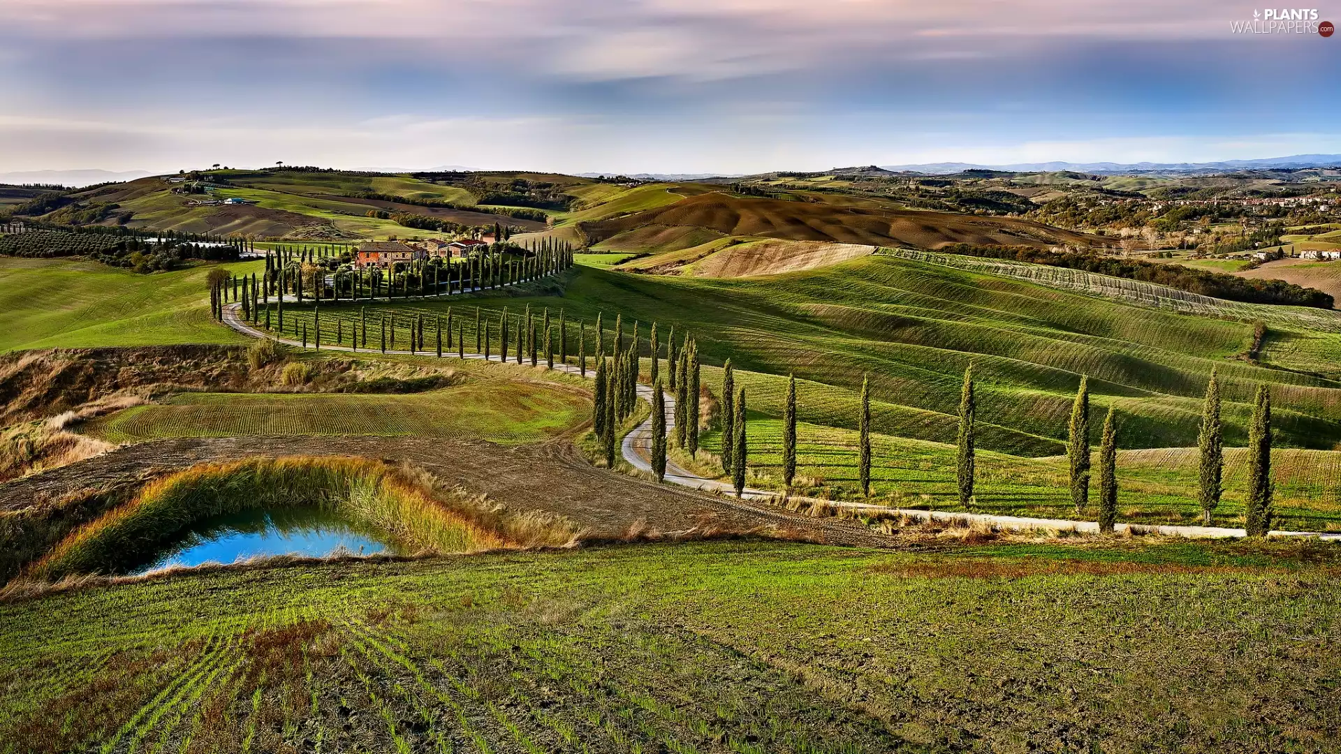 trees, forest, The Hills, Pond - car, Italy, Way, Houses, Tuscany