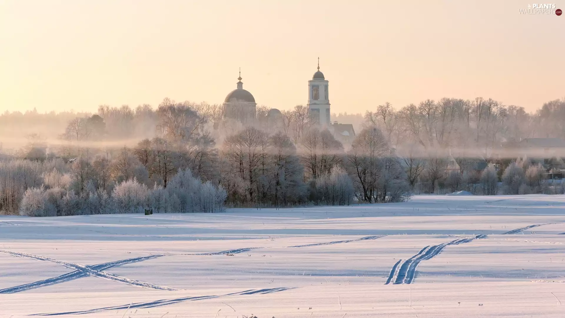 trees, winter, viewes, forest, snow, traces, Houses, Fog, Cerkiew