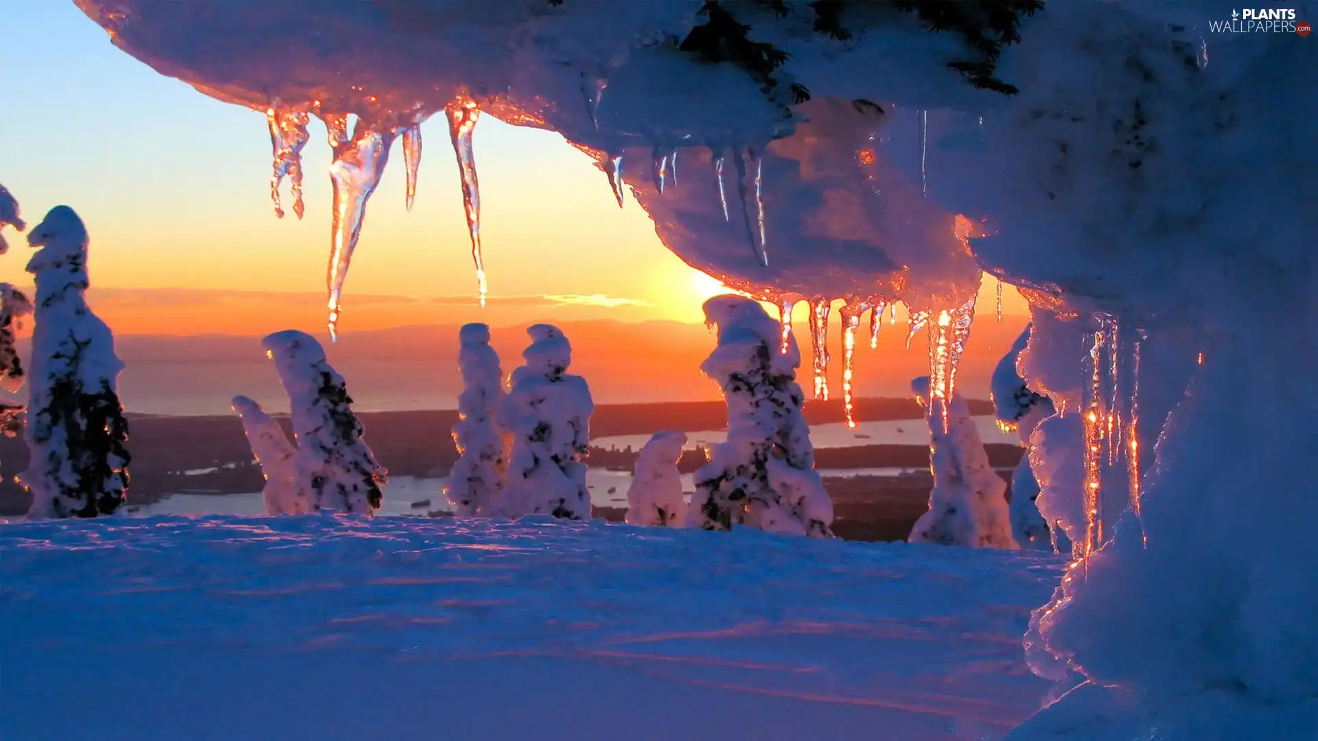 trees, winter, icicle, Great Sunsets, viewes, Snowy