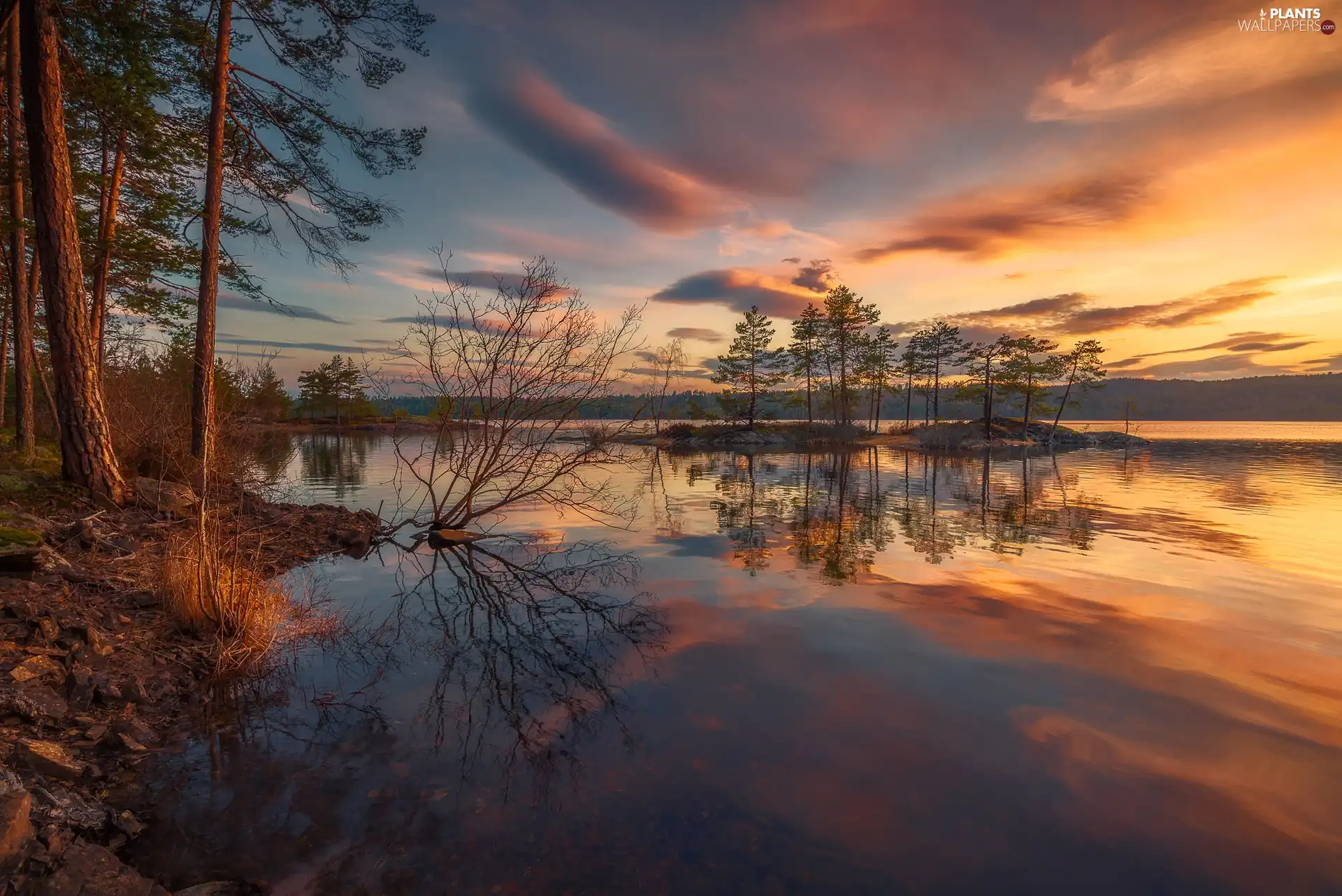 trees, viewes, Norway, Sunrise, Ringerike Municipality, Islet, lake, clouds