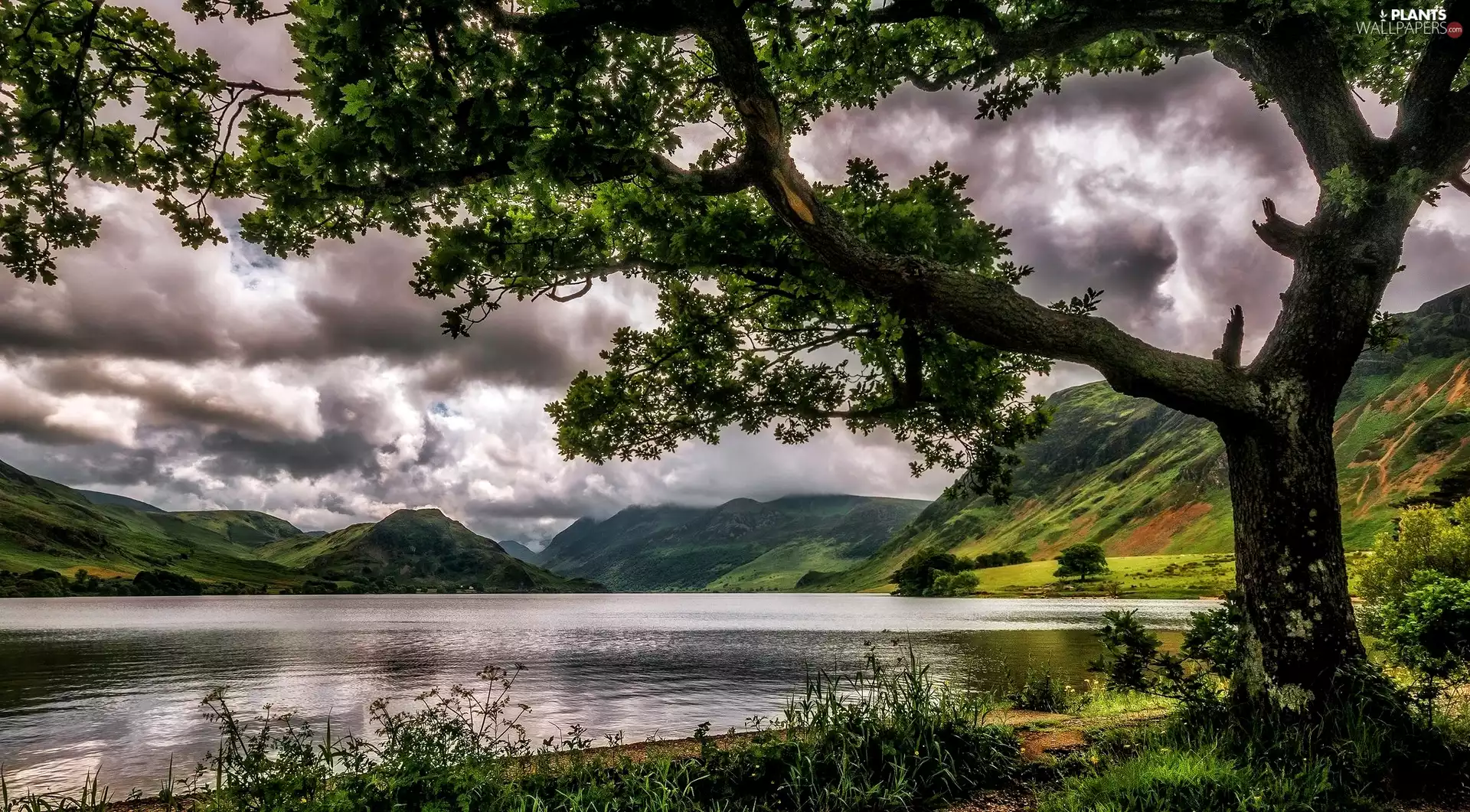 lake, clouds, ##, trees