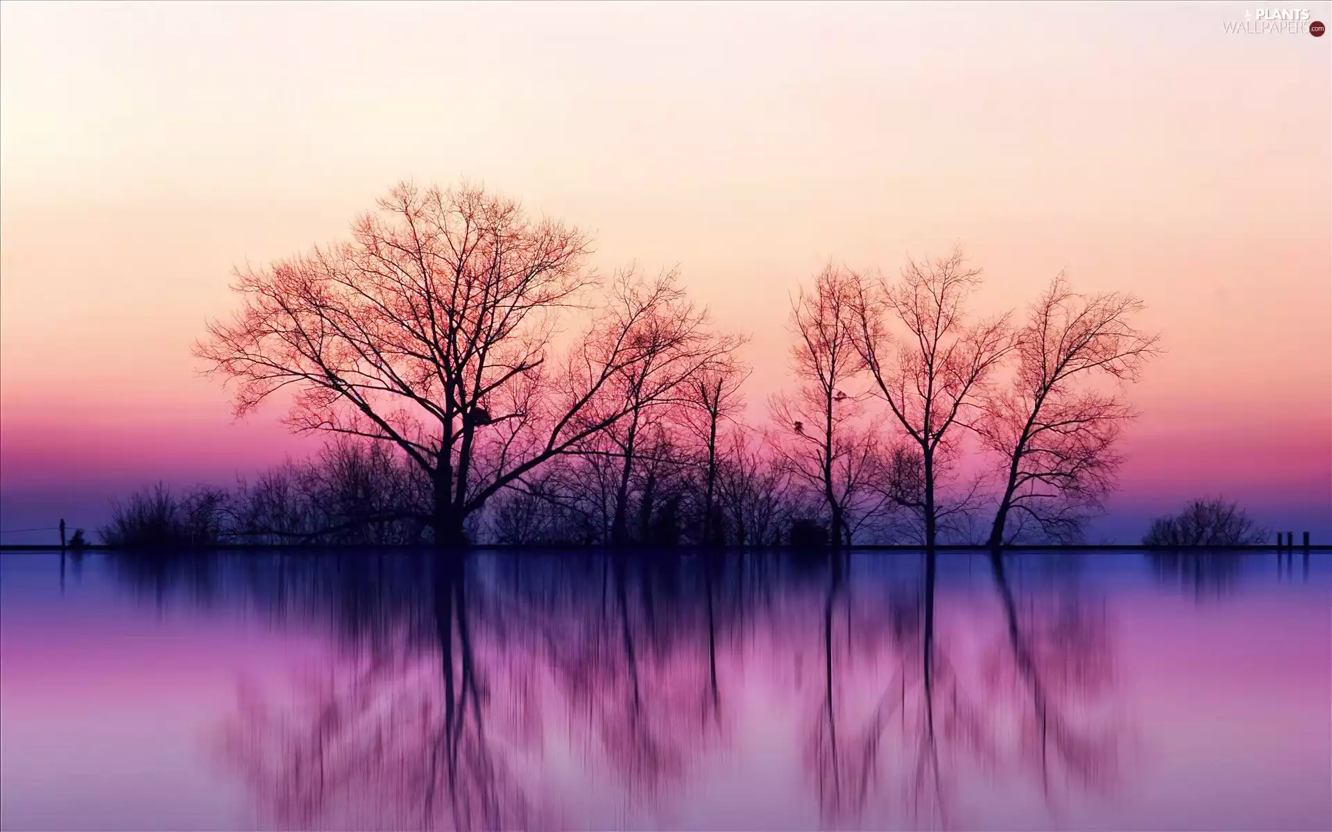 lake, viewes, Bush, trees