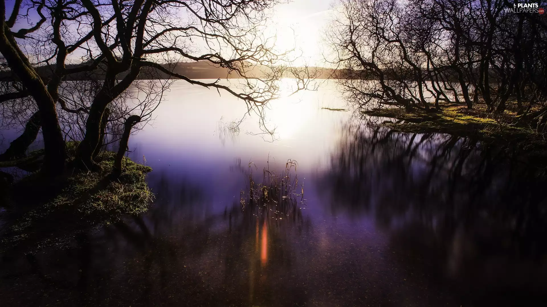 The Hills, dawn, trees, viewes, lake