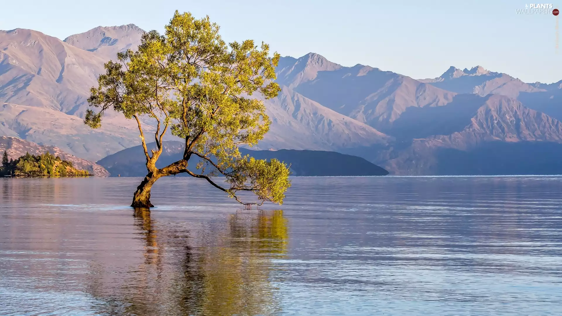 New Zeland, Mountains, trees, Wanaka Lake