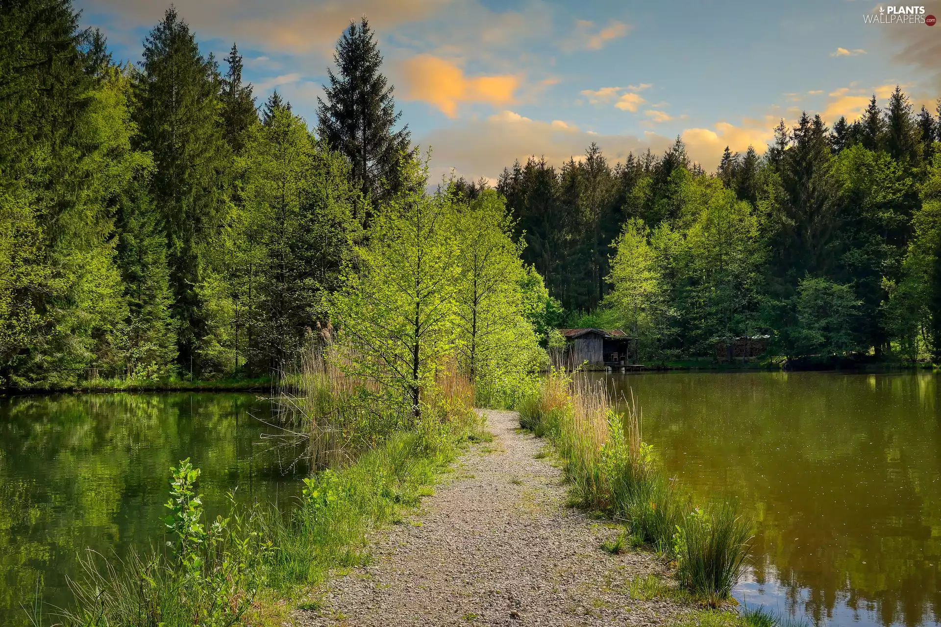 lake, viewes, Path, trees