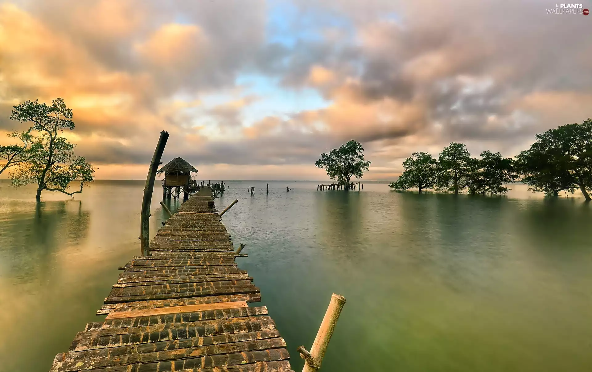 lake, viewes, Platform, trees