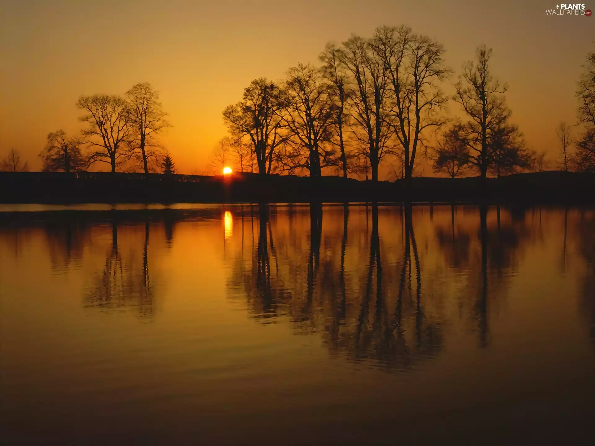 Great Sunsets, reflection, trees, viewes, lake