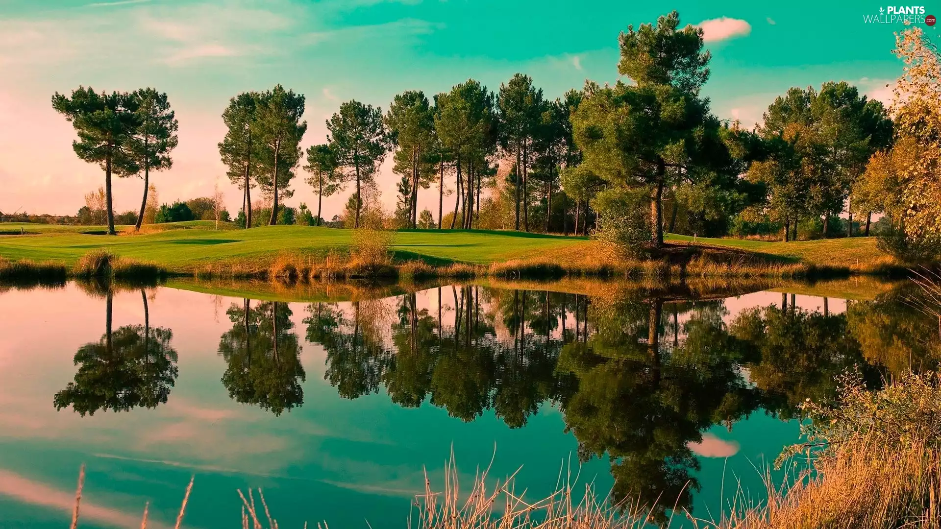 lake, viewes, reflection, trees