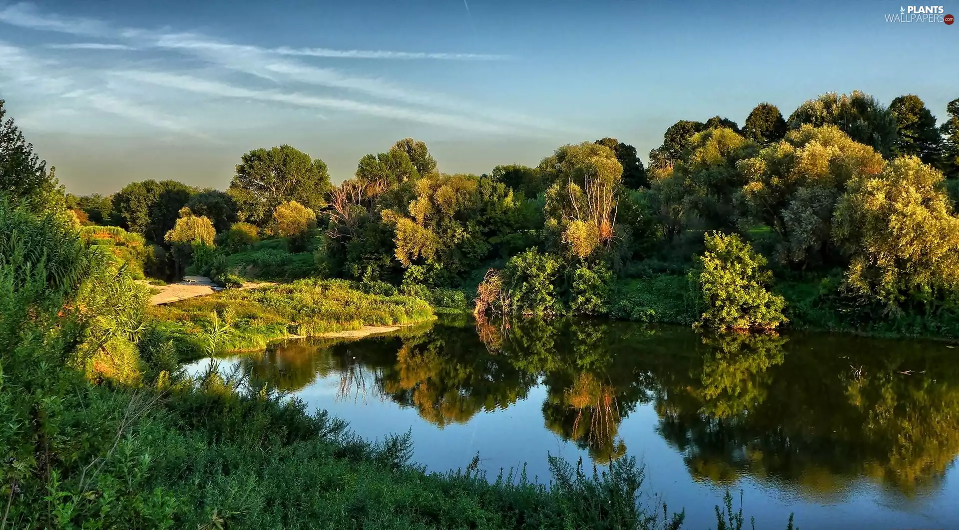 lake, viewes, reflection, trees