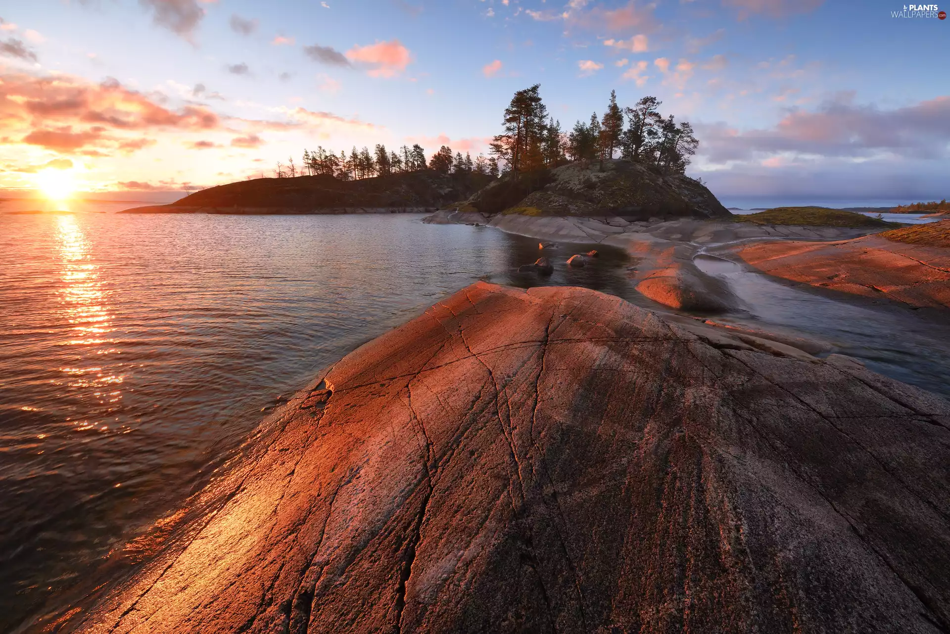 trees, viewes, Russia, clouds, Karelia, rocks, Lake Ladoga, Sunrise