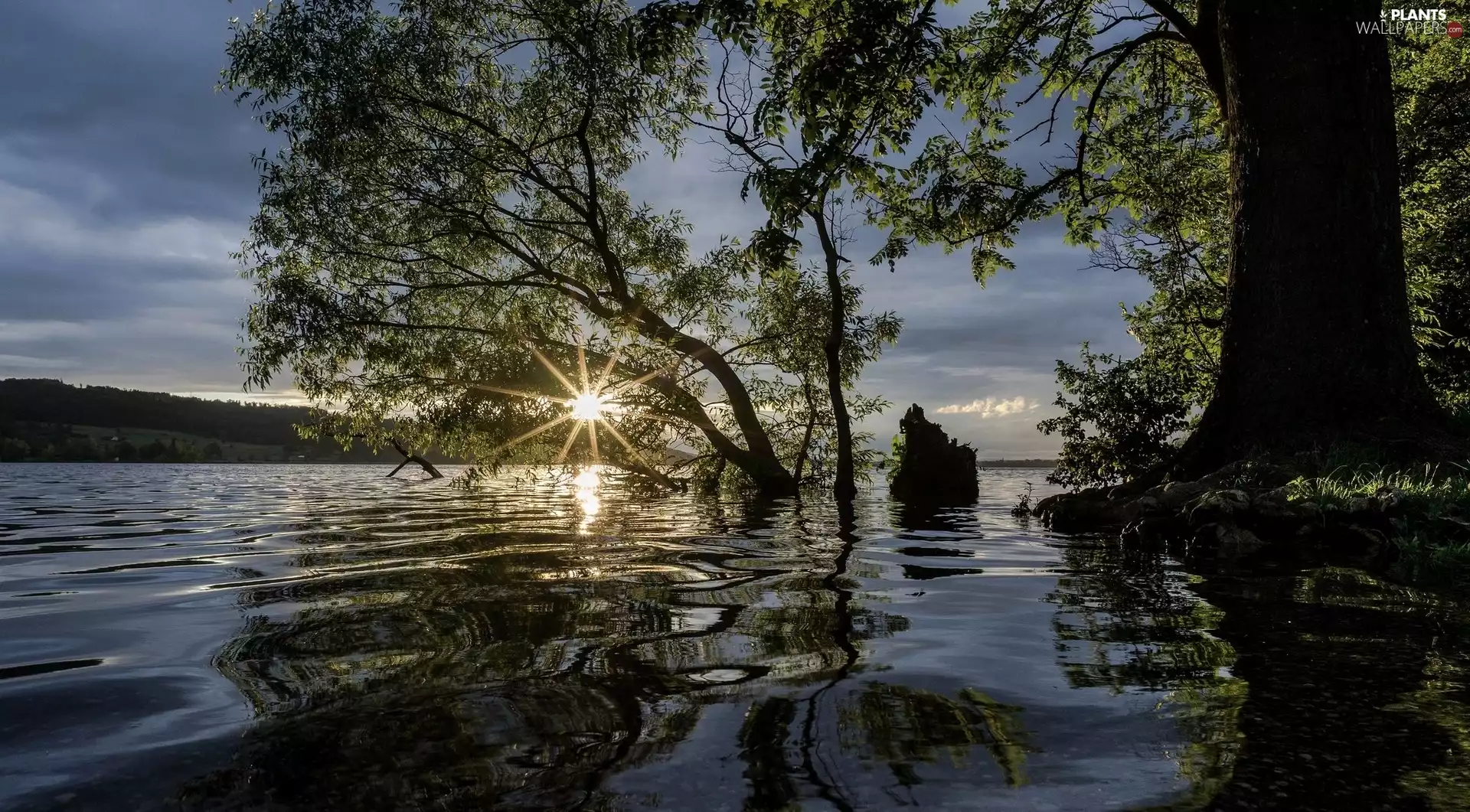 lake, rays, sun, trees