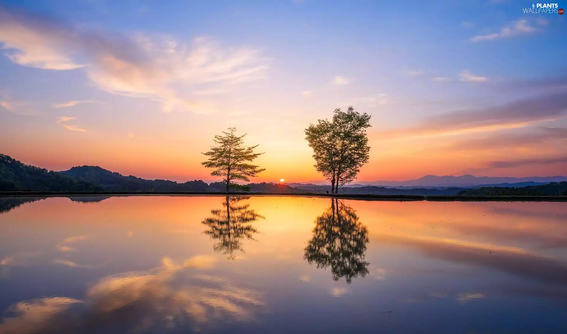 reflection, Great Sunsets, trees, viewes, lake