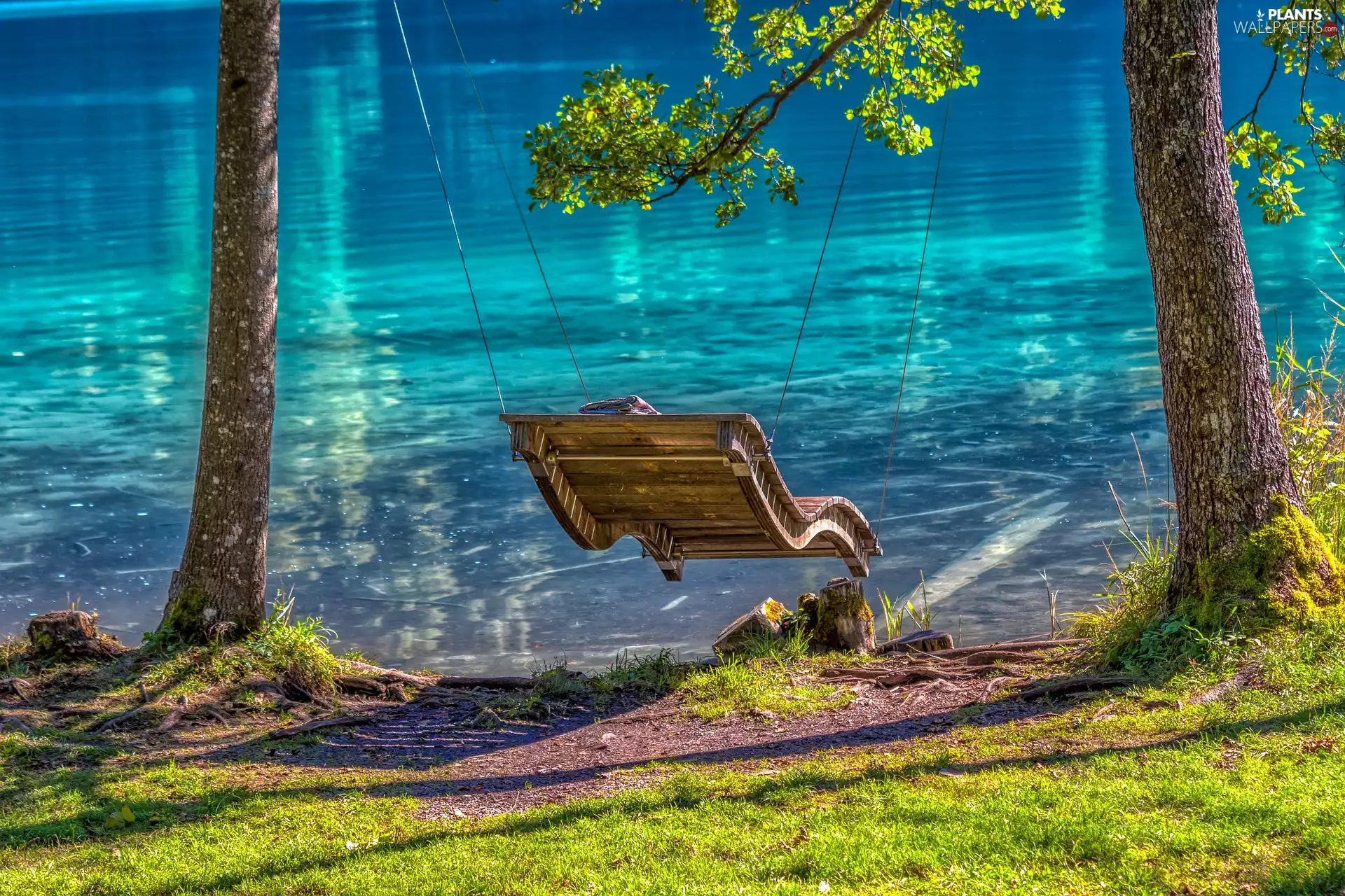 lake, viewes, Swing, trees