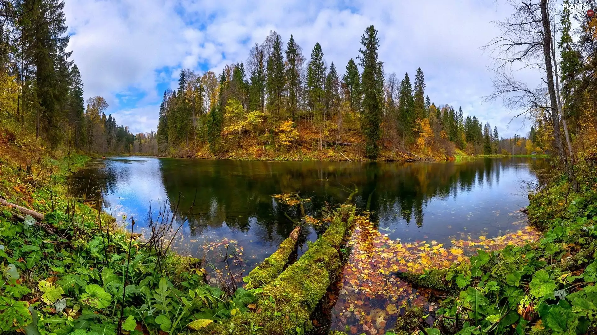 lake, viewes, VEGETATION, trees