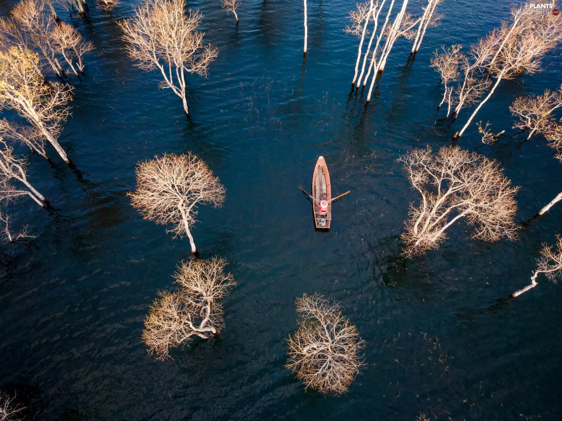 Boat, Aerial View, trees, viewes, lake