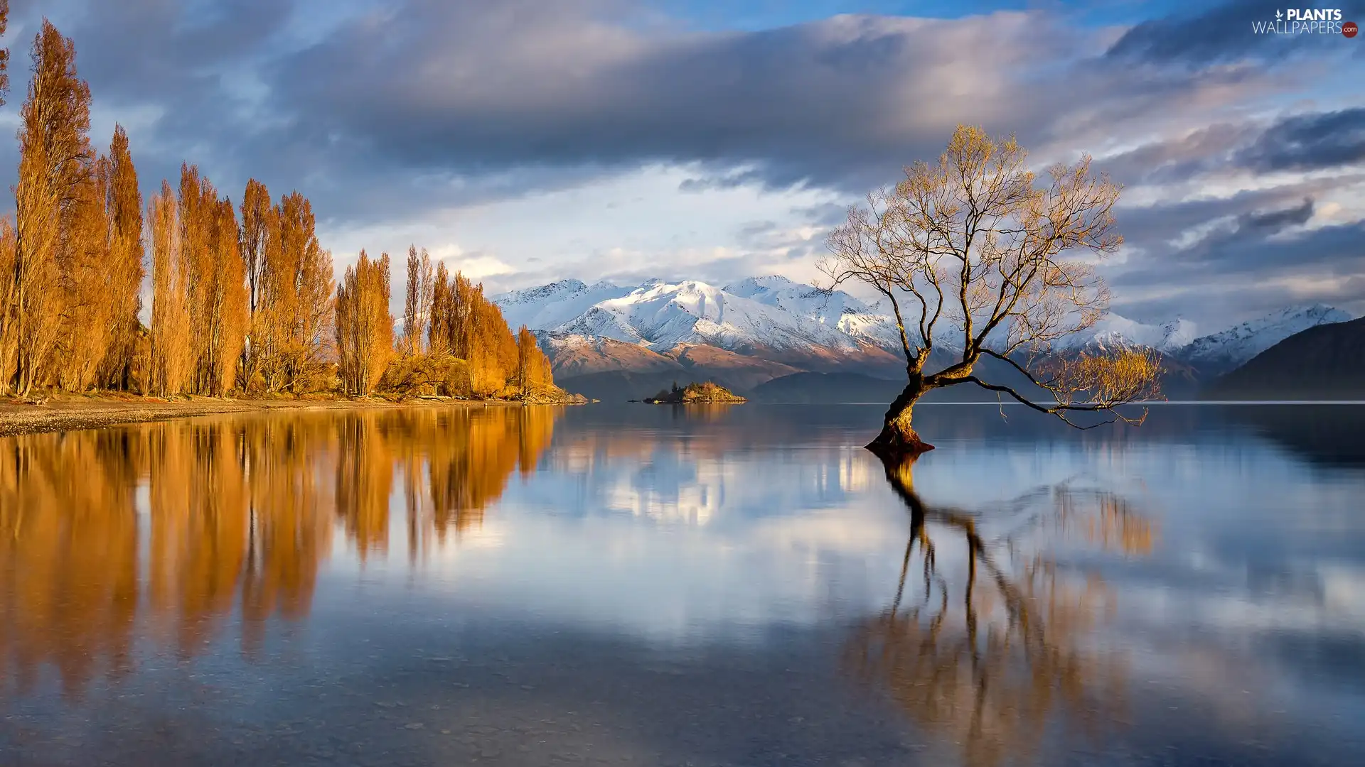 Mountains, Wanaka Lake, clouds, New Zeland, autumn, trees