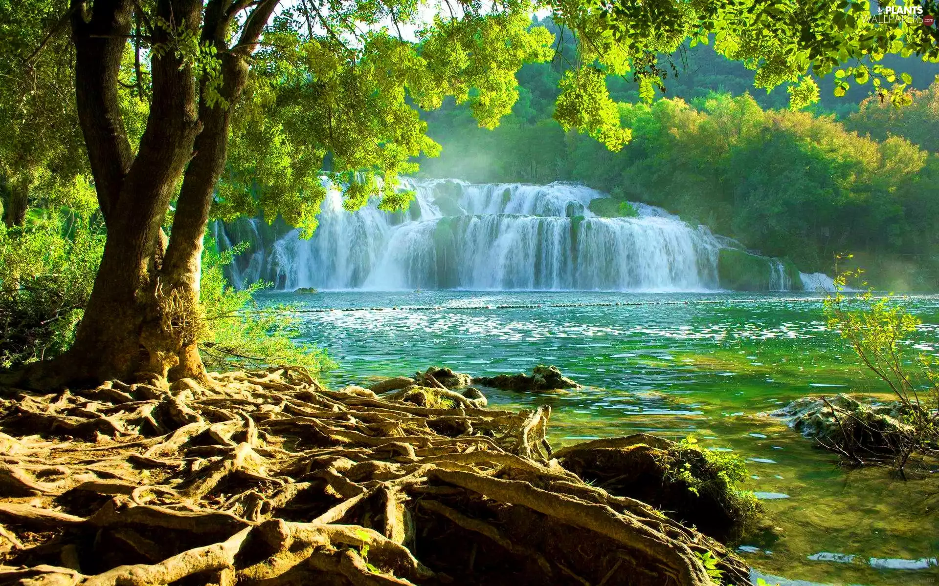 trees, waterfall, lake
