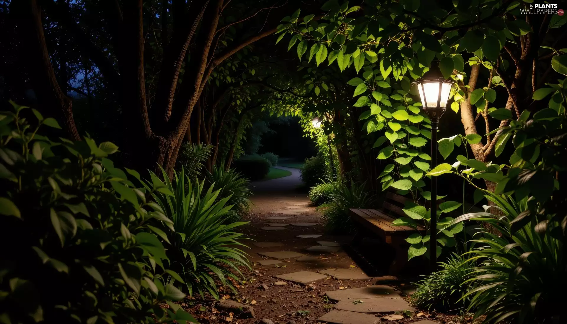 viewes, Park, lanterns, trees, Night, Bench, Path