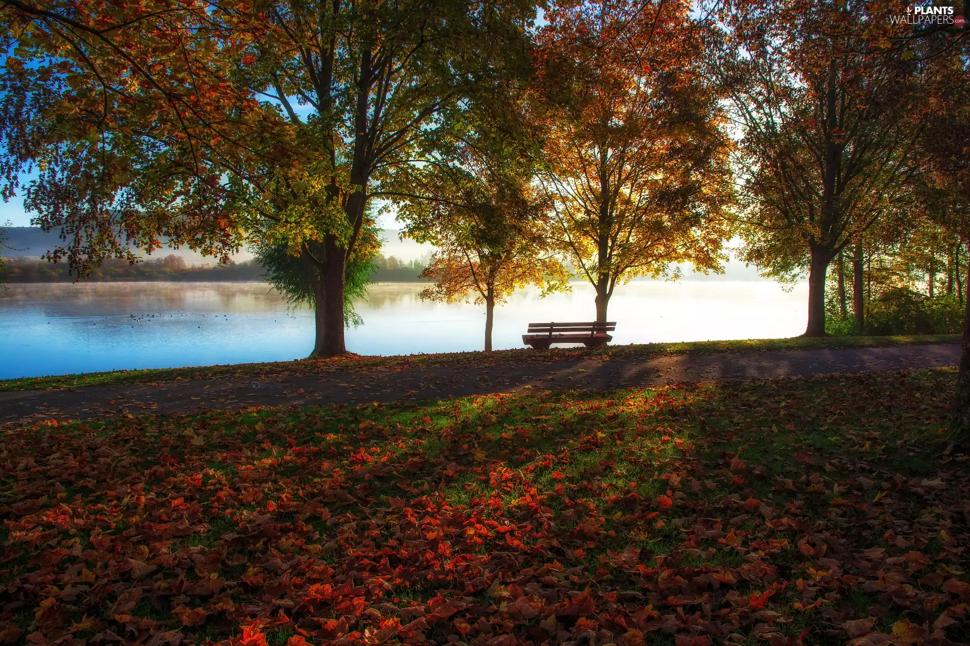 viewes, lake, Leaf, trees, autumn, Yellowed, Bench