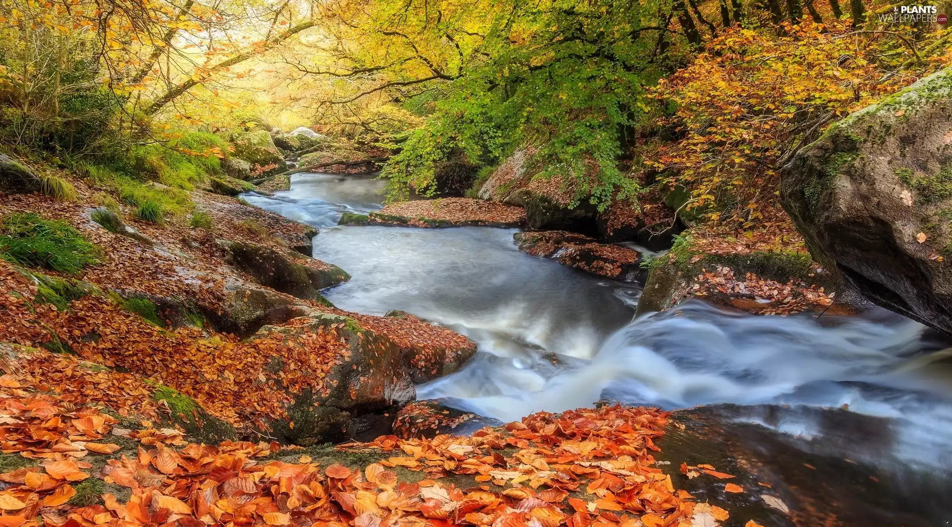 autumn, River, Leaf, Stones, viewes, Brittany, France, trees