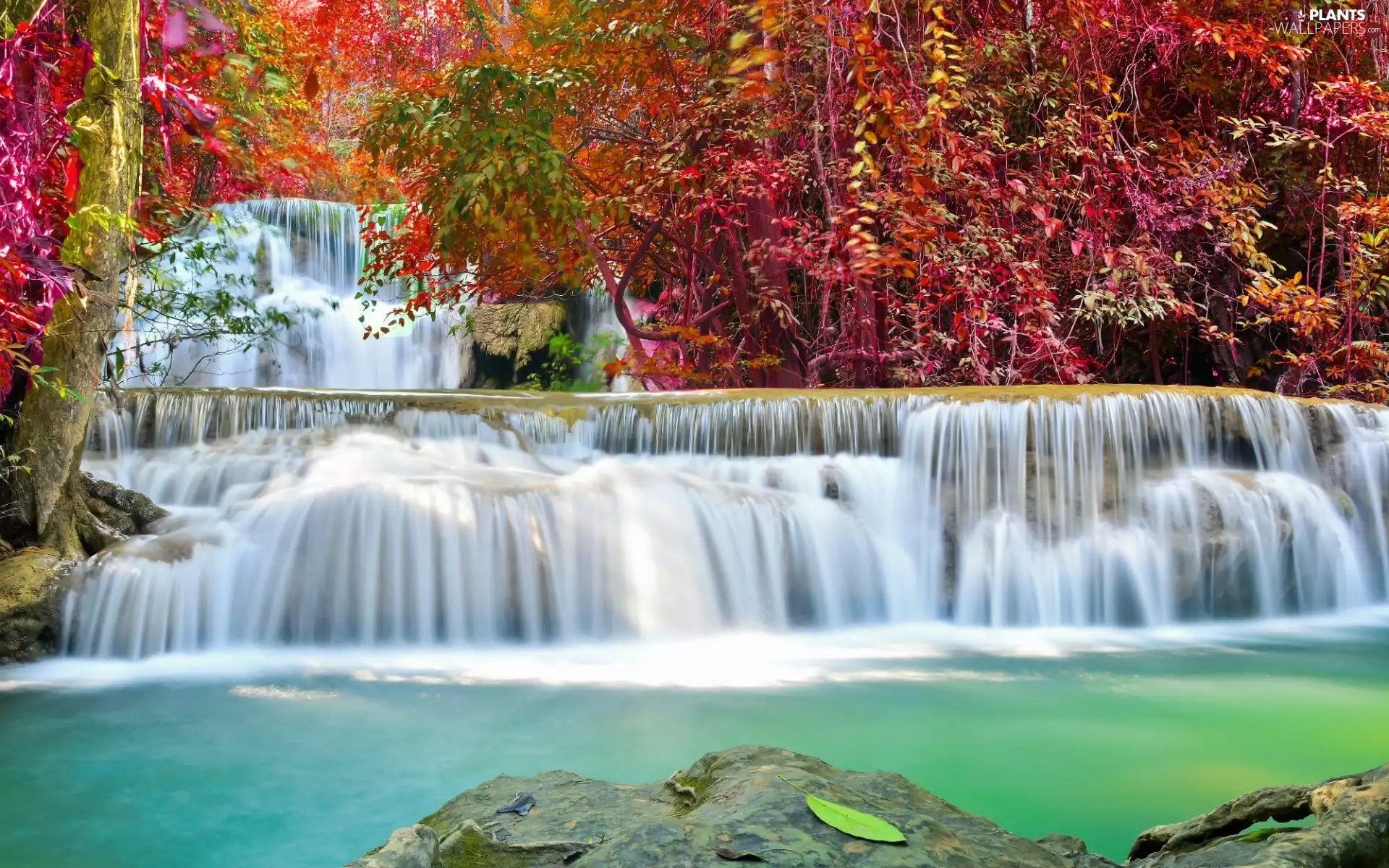 viewes, rocks, Leaf, trees, waterfall, color, autumn
