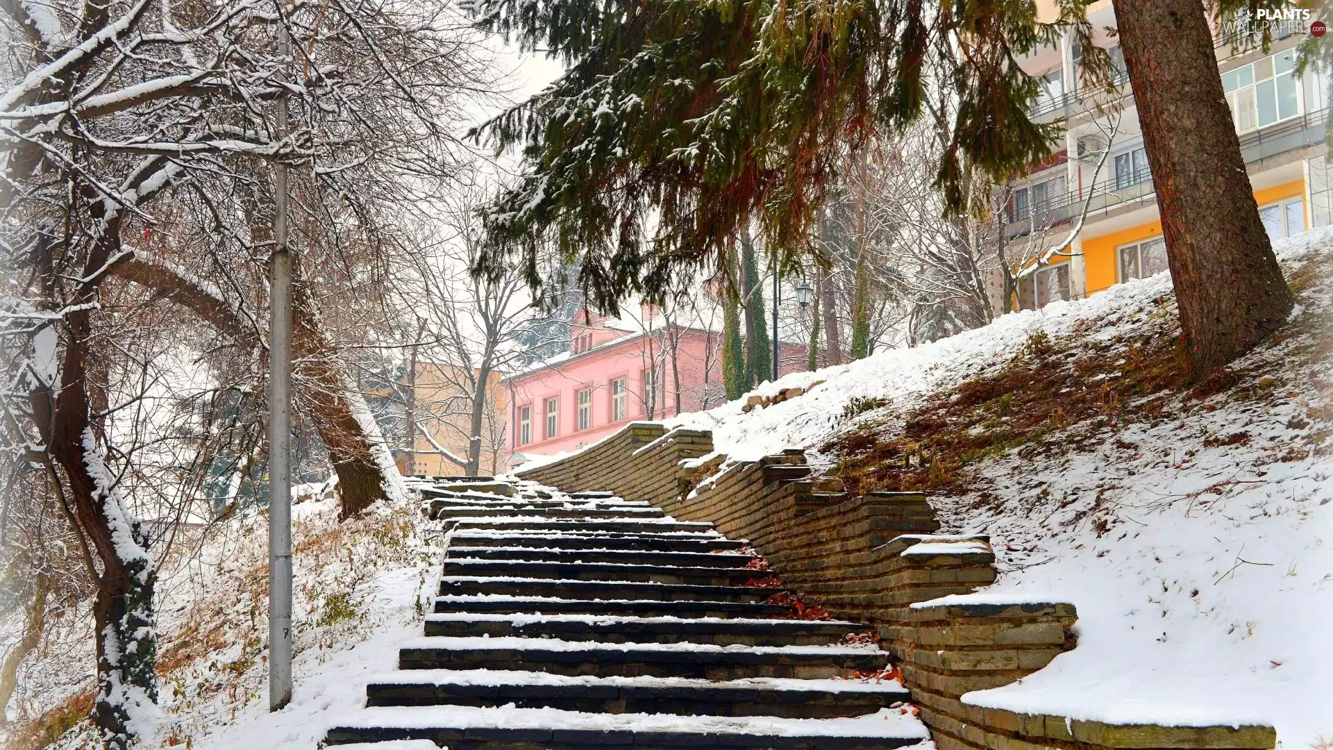 Park, Stairs, Lighthouse, Houses, viewes, snow, winter, trees