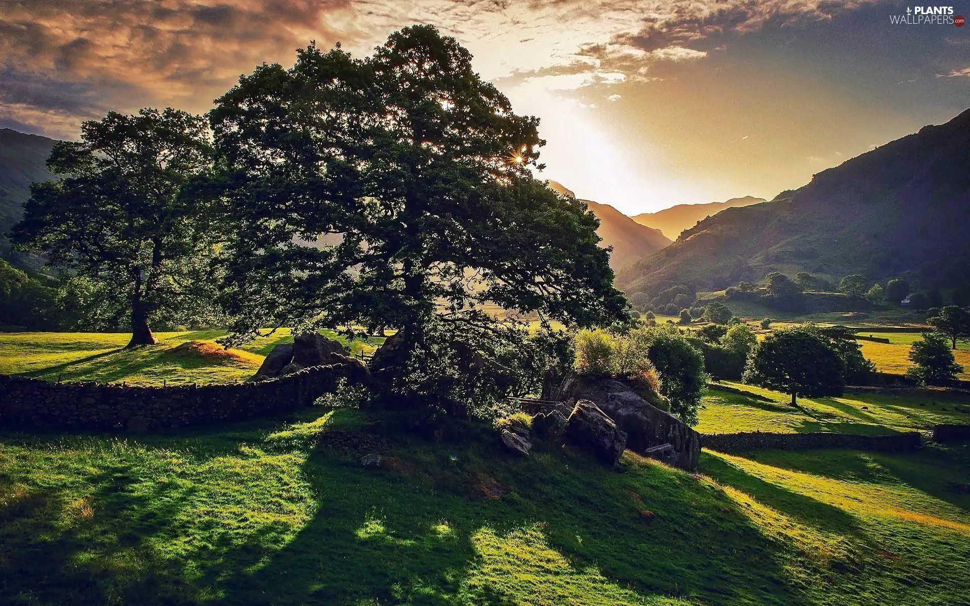 ligh, Przebijające, sun, trees, The Hills, flash, clouds, Cumbria, luminosity, viewes, District, Lake