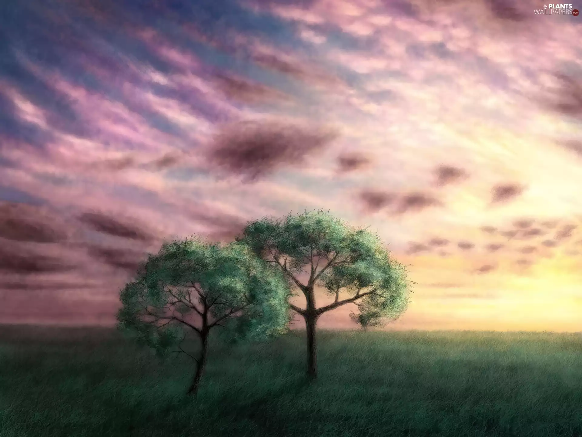 Meadow, viewes, clouds, trees