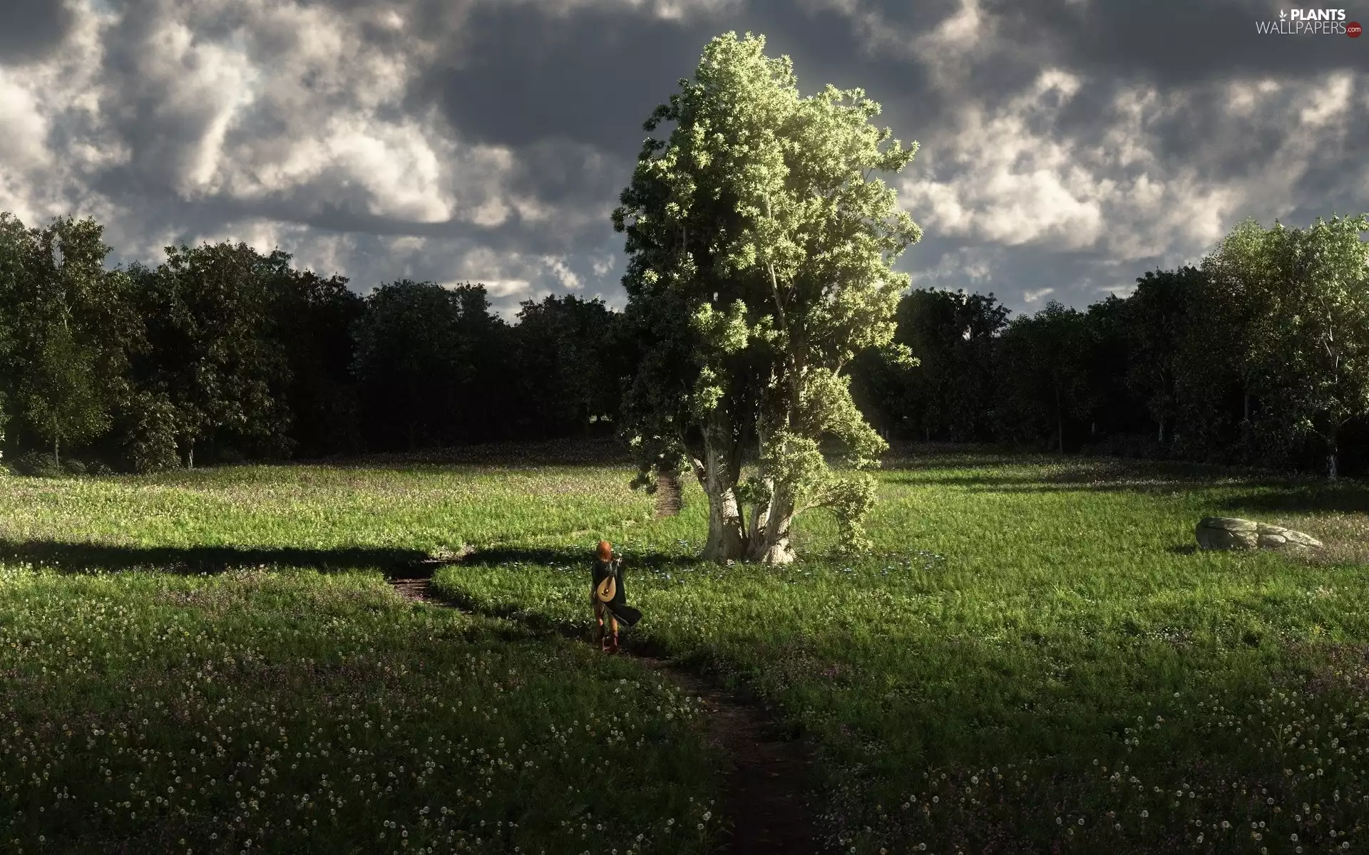 Meadow, viewes, girl, trees