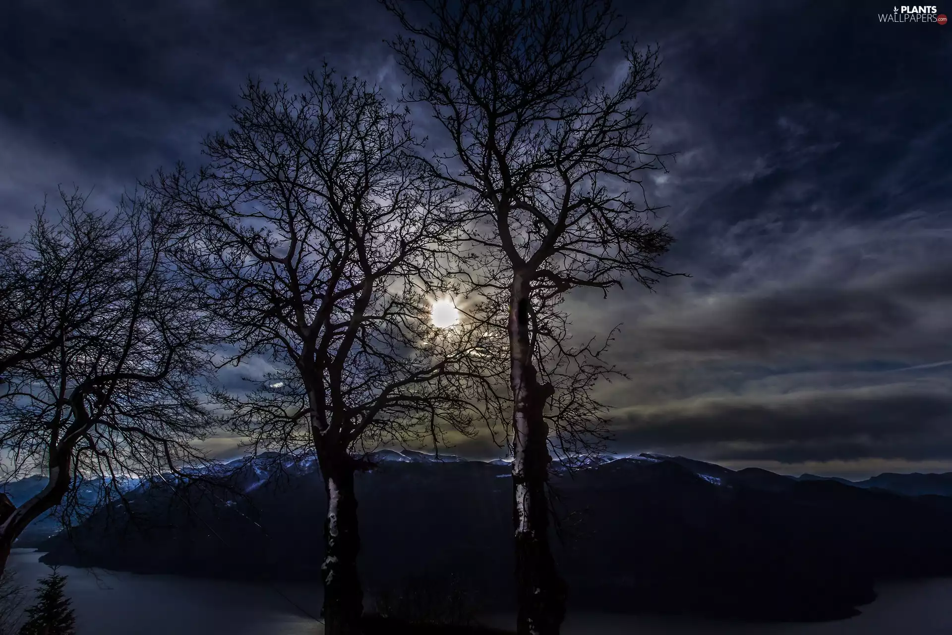 trees, Mountains, moon