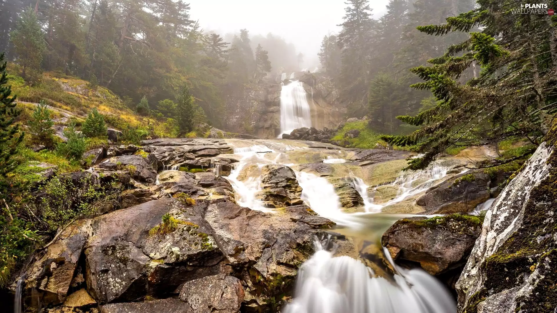 viewes, rocks, morning, trees, waterfall, forest, Fog