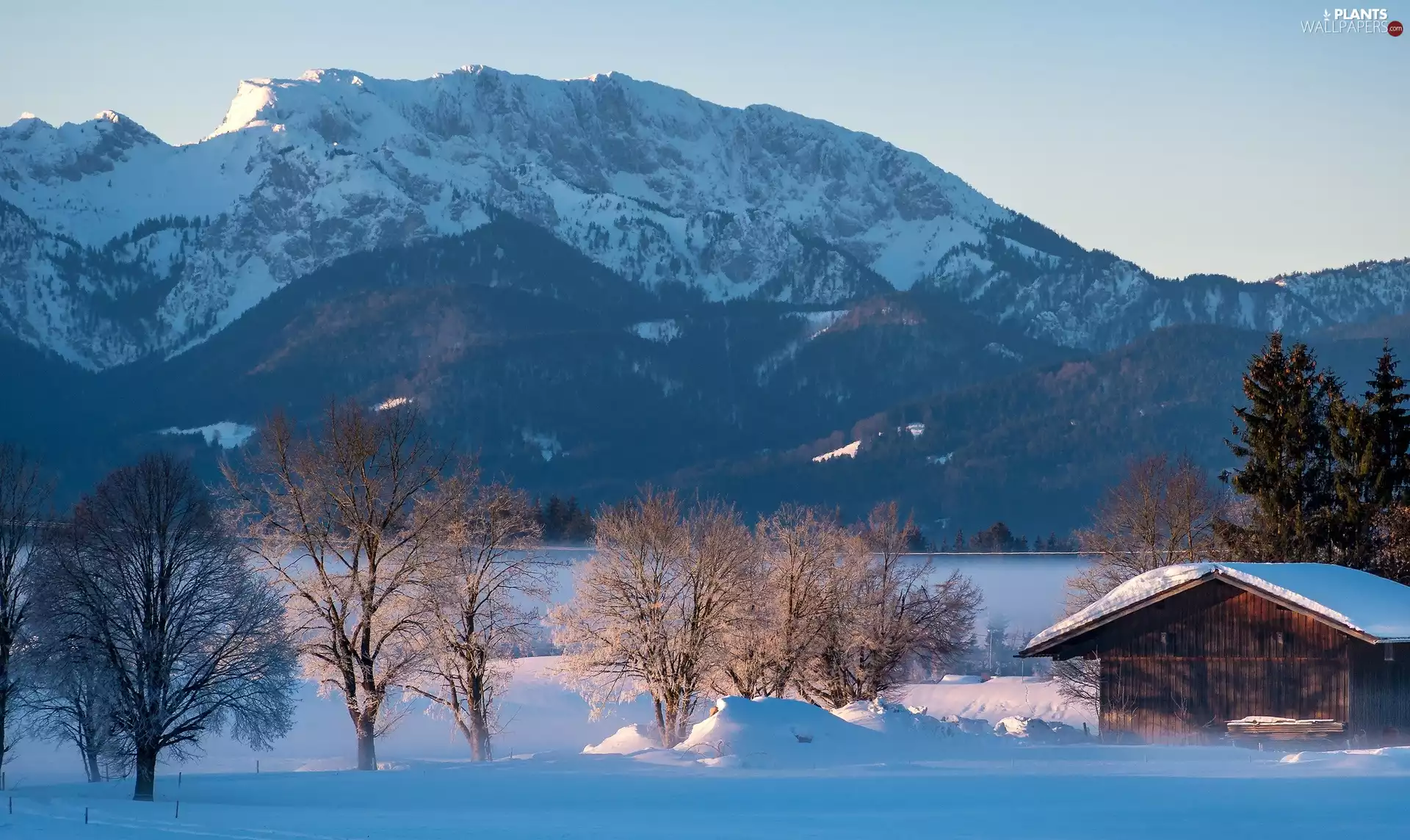 cote, wooden, morning, Home, viewes, Mountains, winter, trees