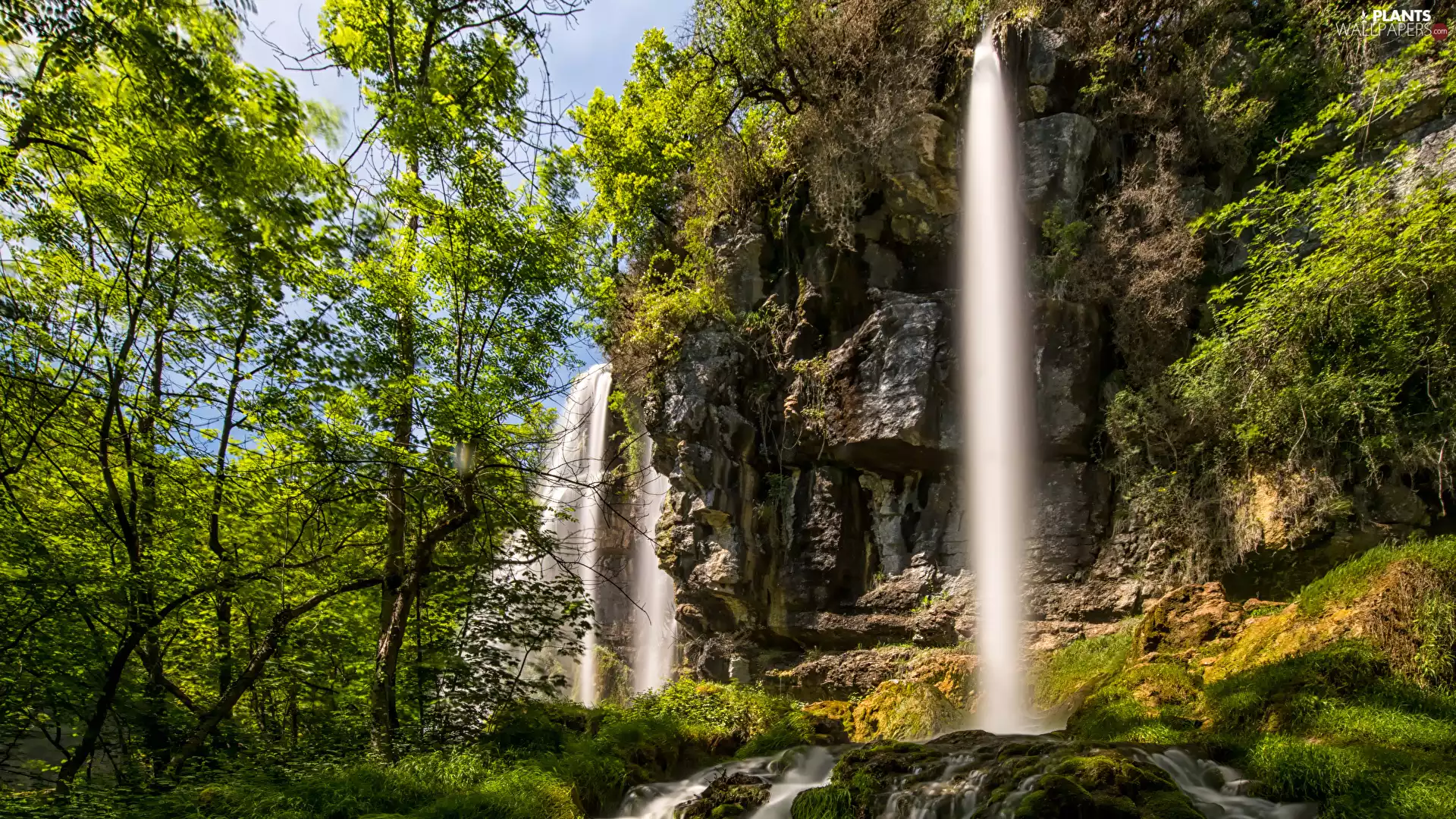 viewes, Rocks, mossy, trees, waterfalls, Bush, Stones