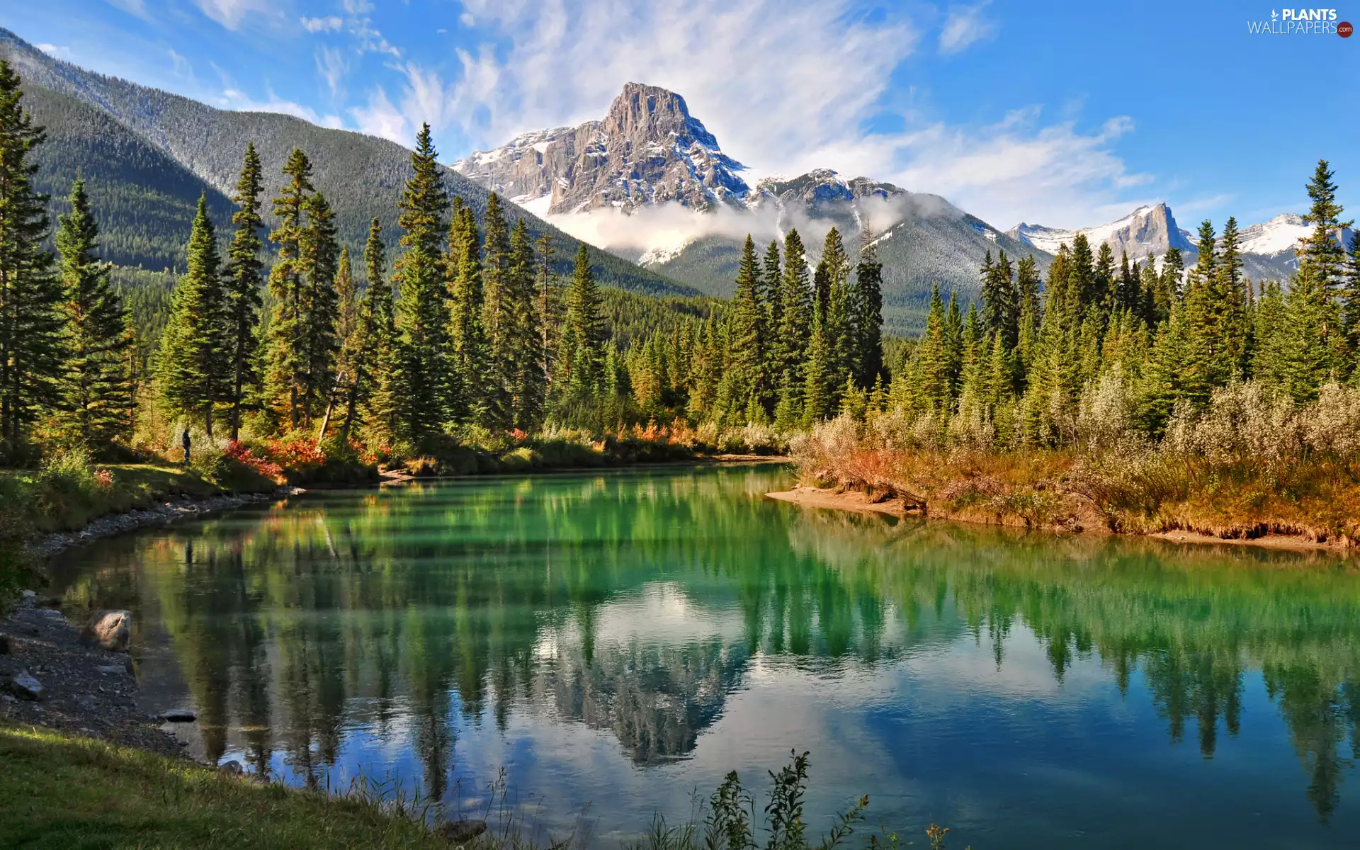 viewes, forest, mount, trees, lake, Mountains, reflection